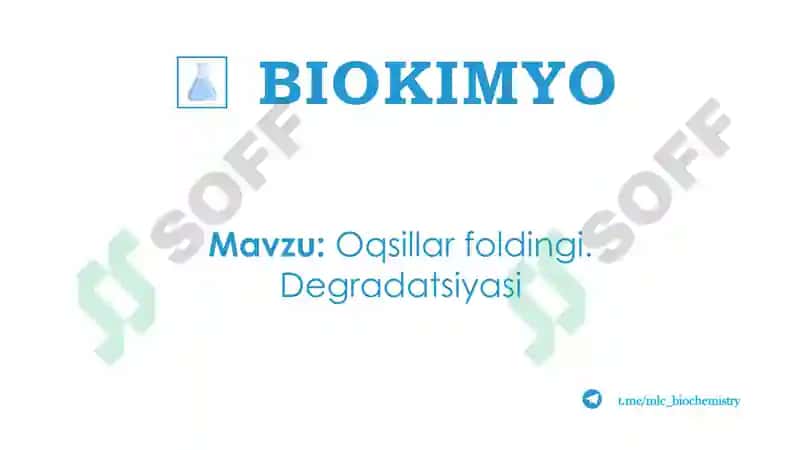 BIOKIMYO 2