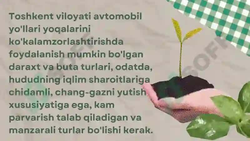 Sibir karag'anasi (Karagana), Zirk (Barbaris,), Atirgul butalari, Bargi tushmaydigan doimiy yashil butalar 2
