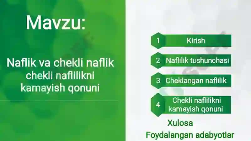 Mikroiqtisodiyot 2
