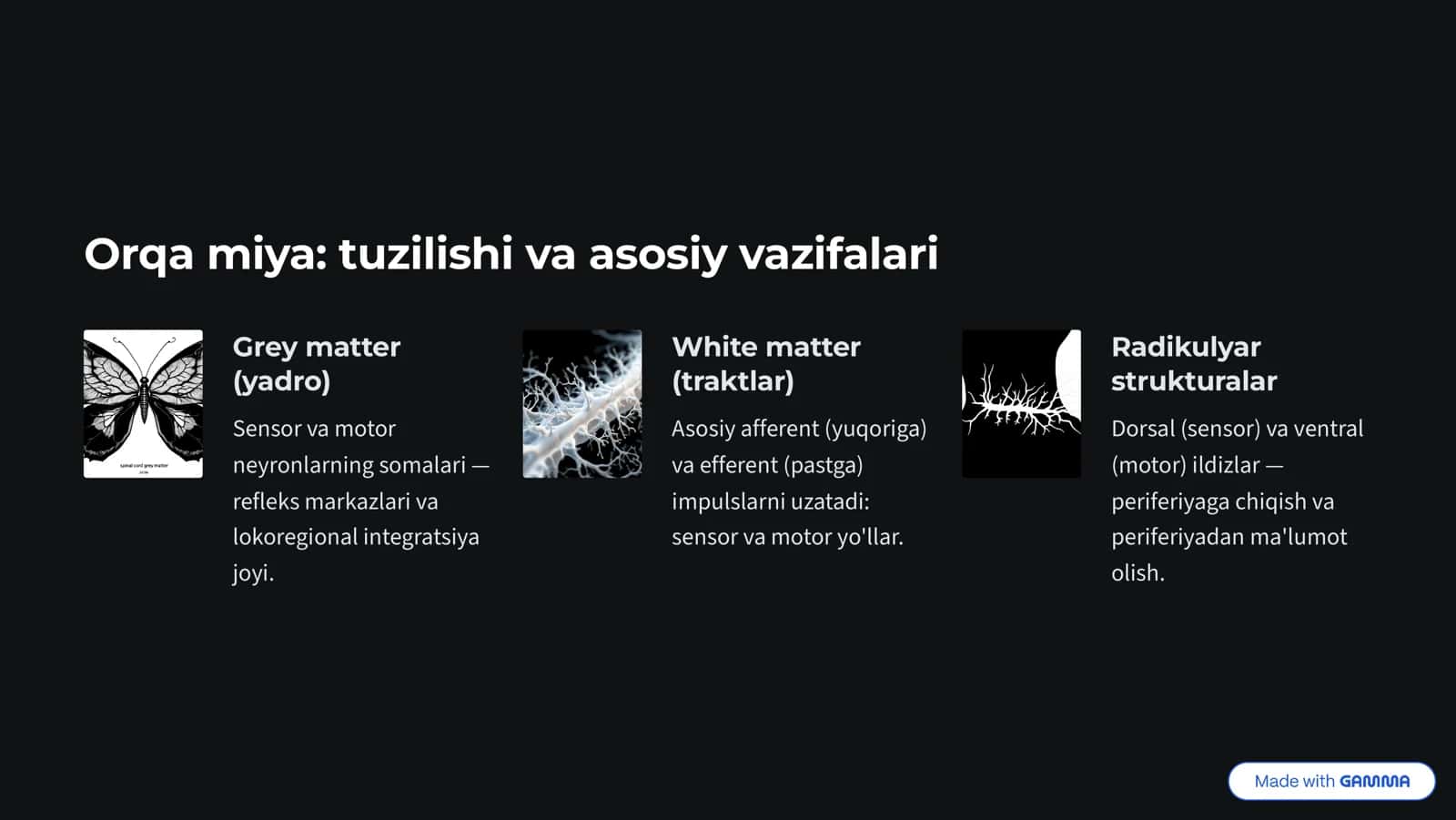 Orqa miya, Uzunchoq miya va O'rta miya fiziologiyasi 2