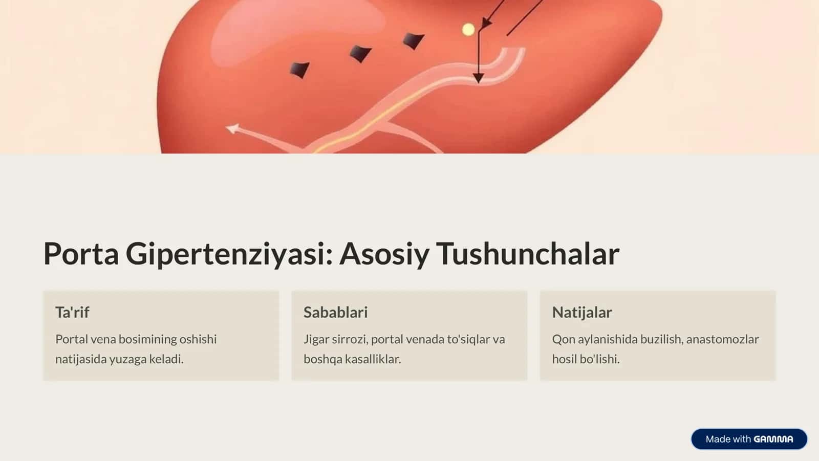 Kava Kaval Porta Koval Anastomozlar 2
