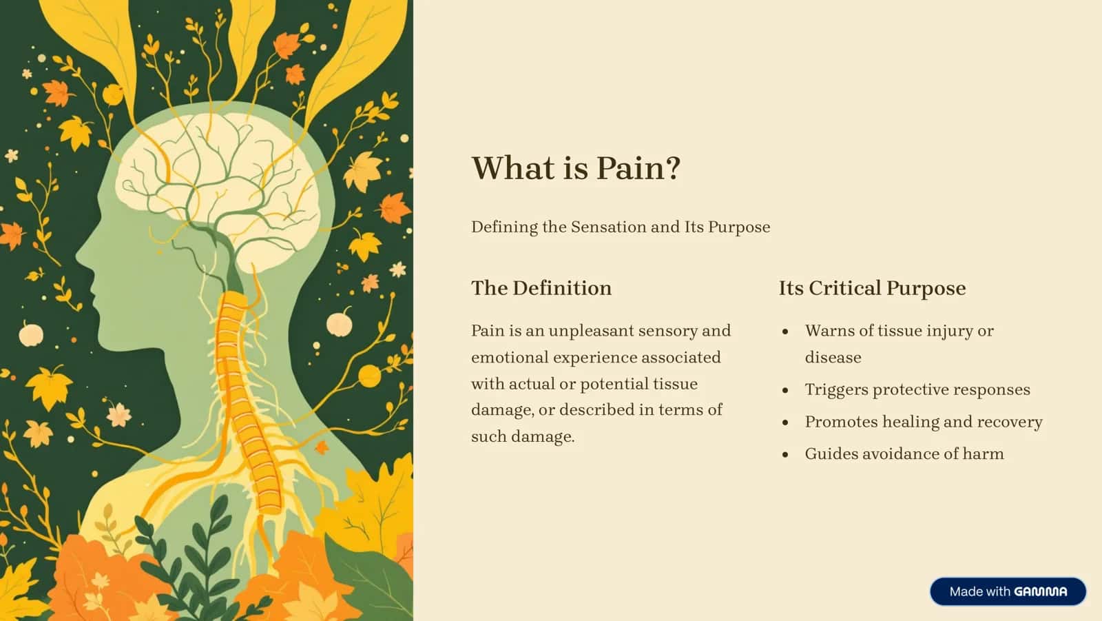 Understanding Pain 2