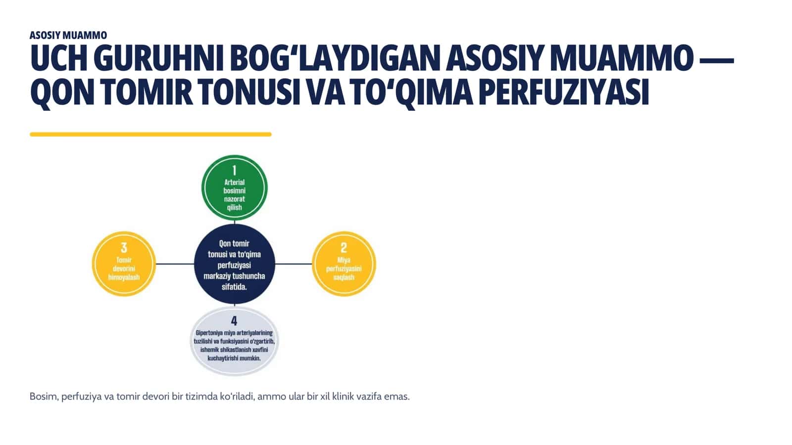 GIPOTENZIV VOSITALAR, MIYA QON AYLANISHIGA TA’SIR QILUVCHI MODDALAR VA ANGIOPROTEKTORLAR 2