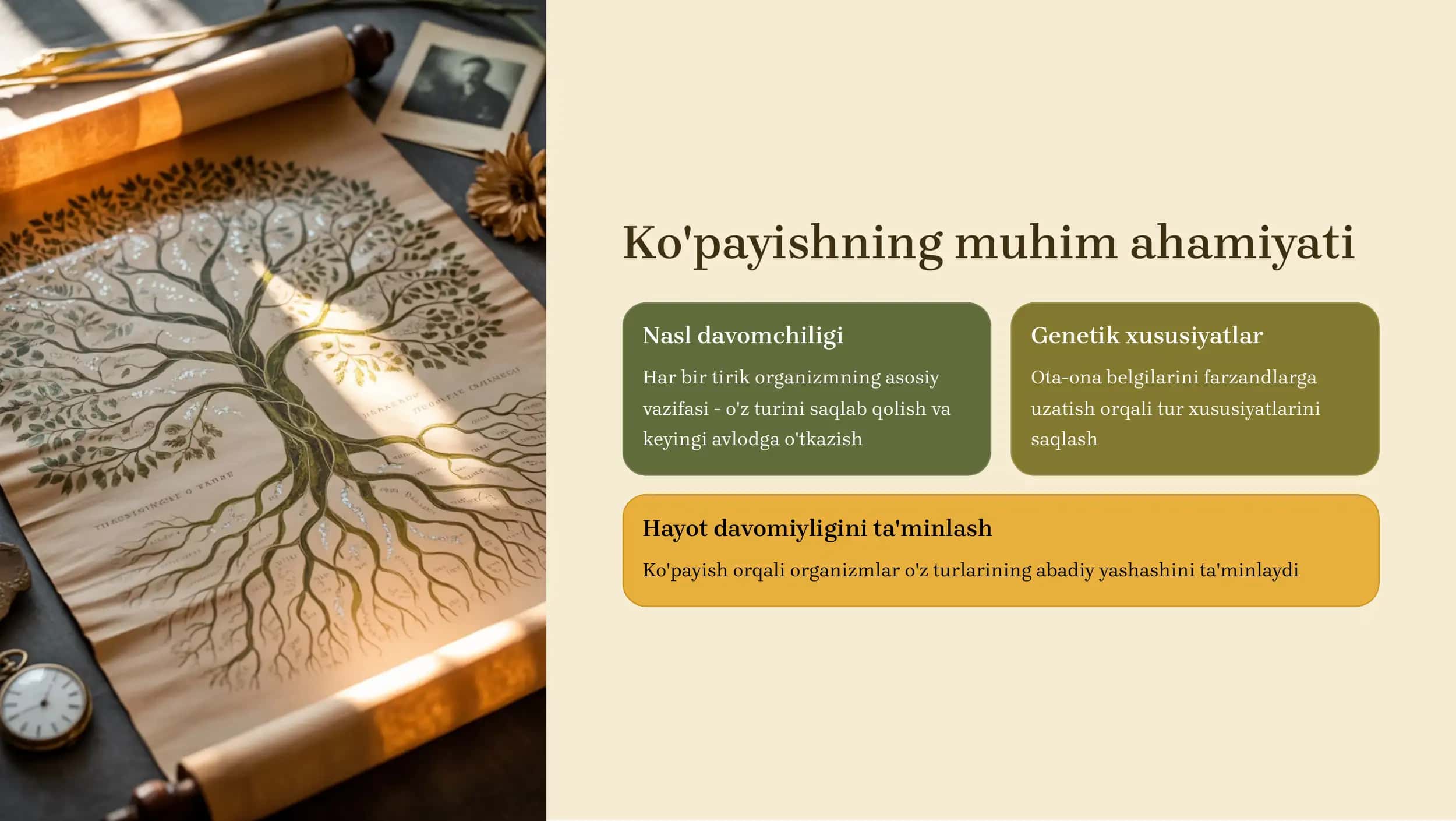Ko'payish organlari va rivojlanish 2