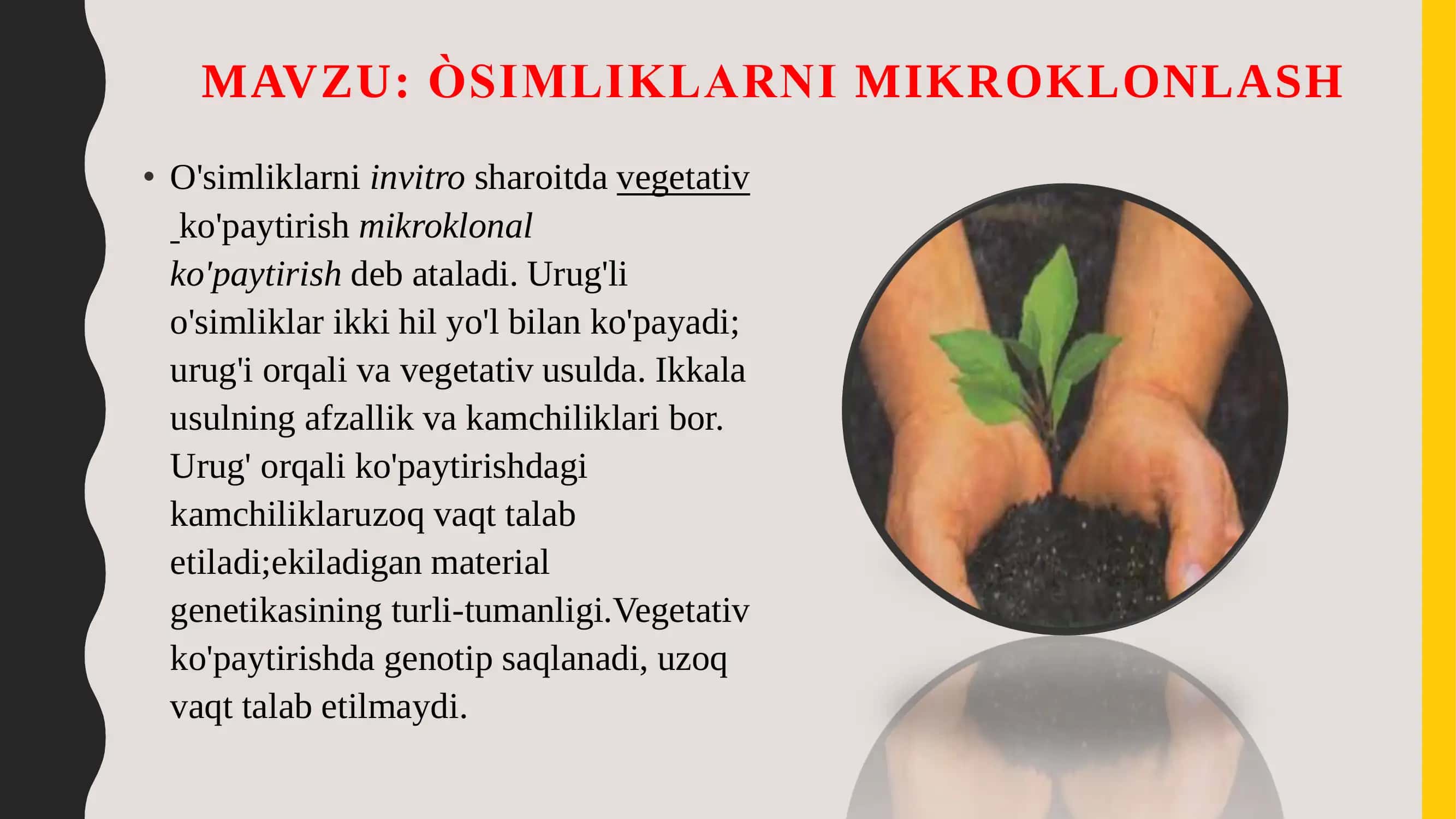 O'simliklarni mikroklonlash 2