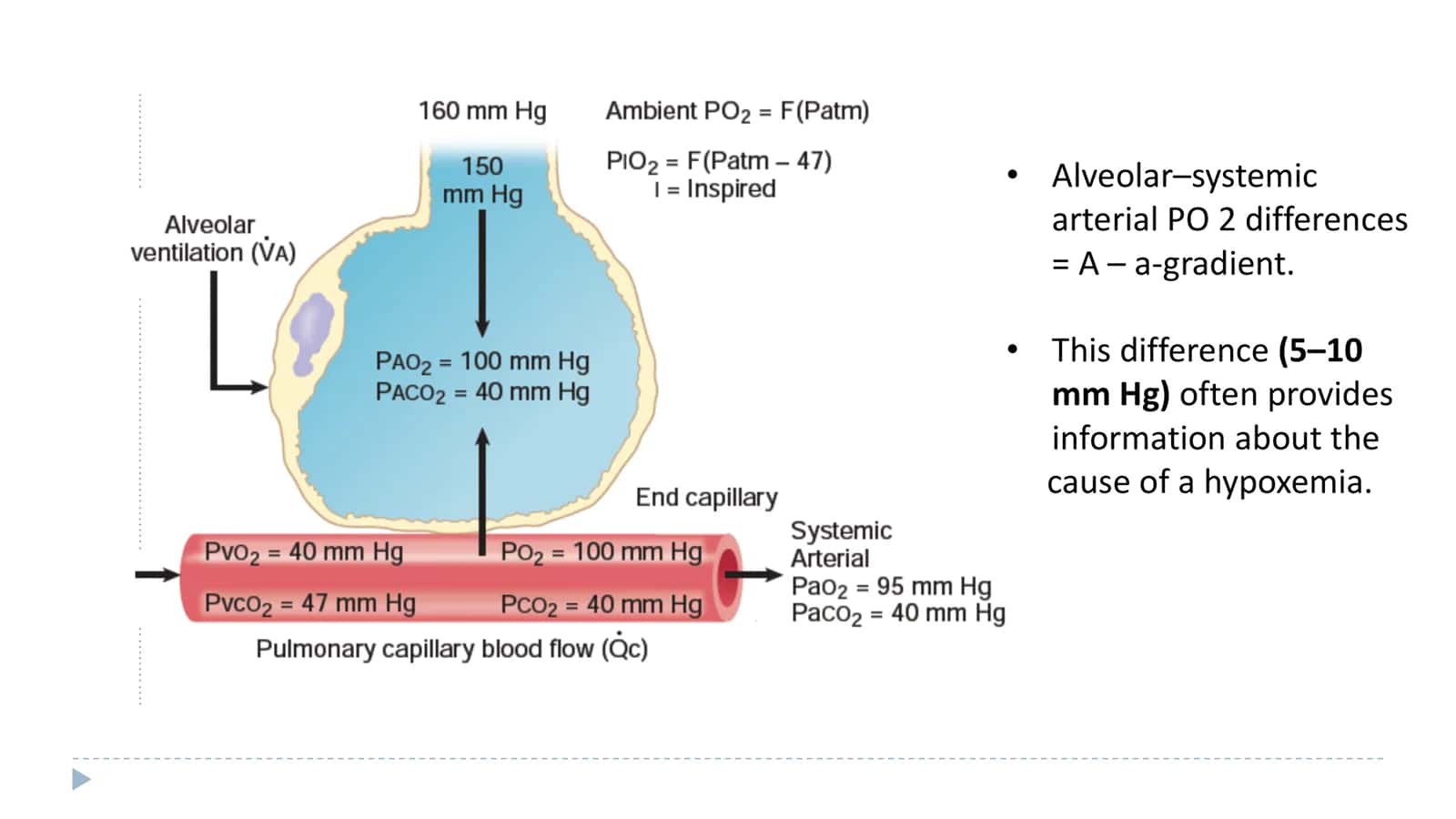 PHYSIOLOGY 3