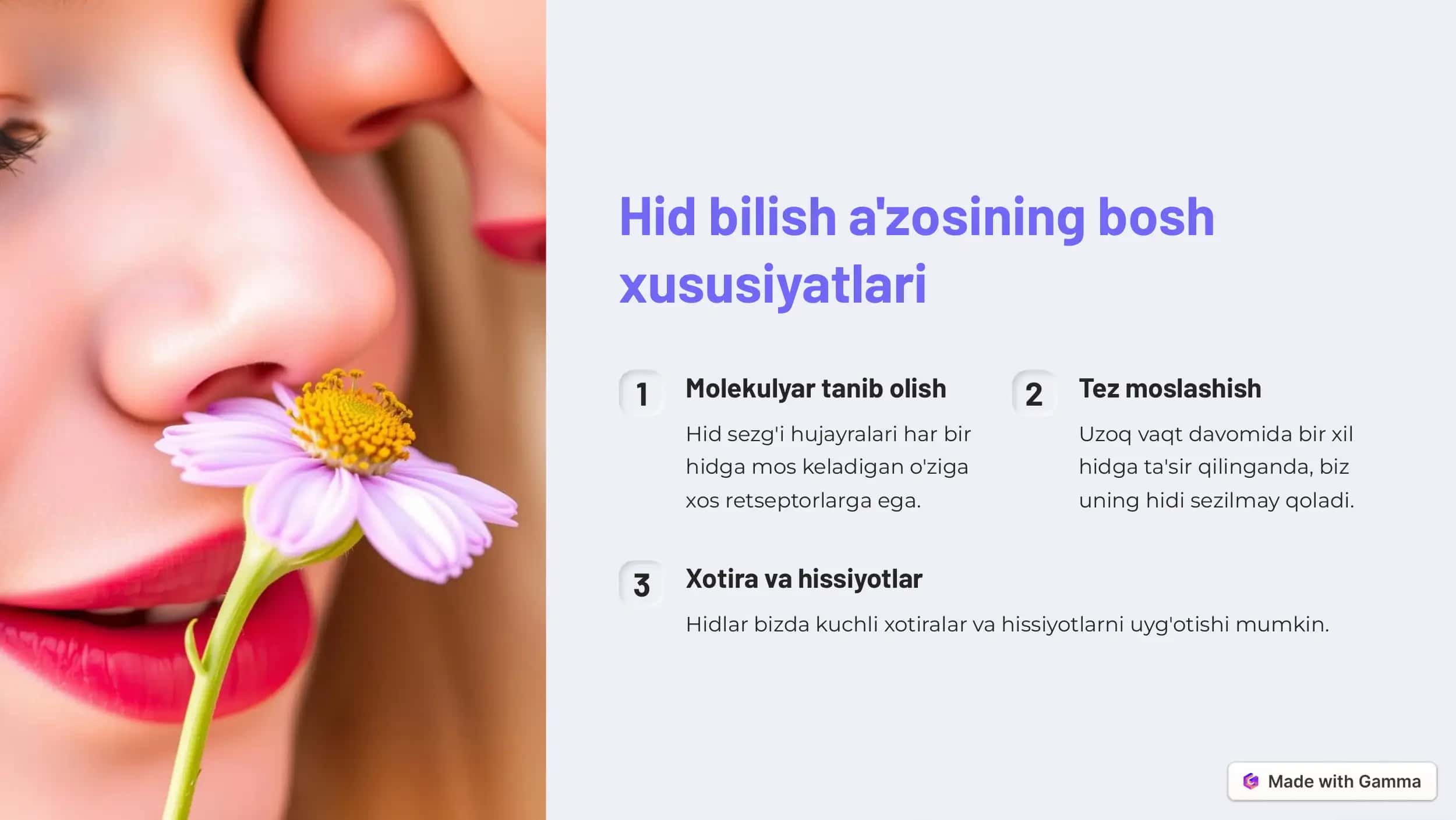 Hid bilish a'zosi: sirli dunyo 3