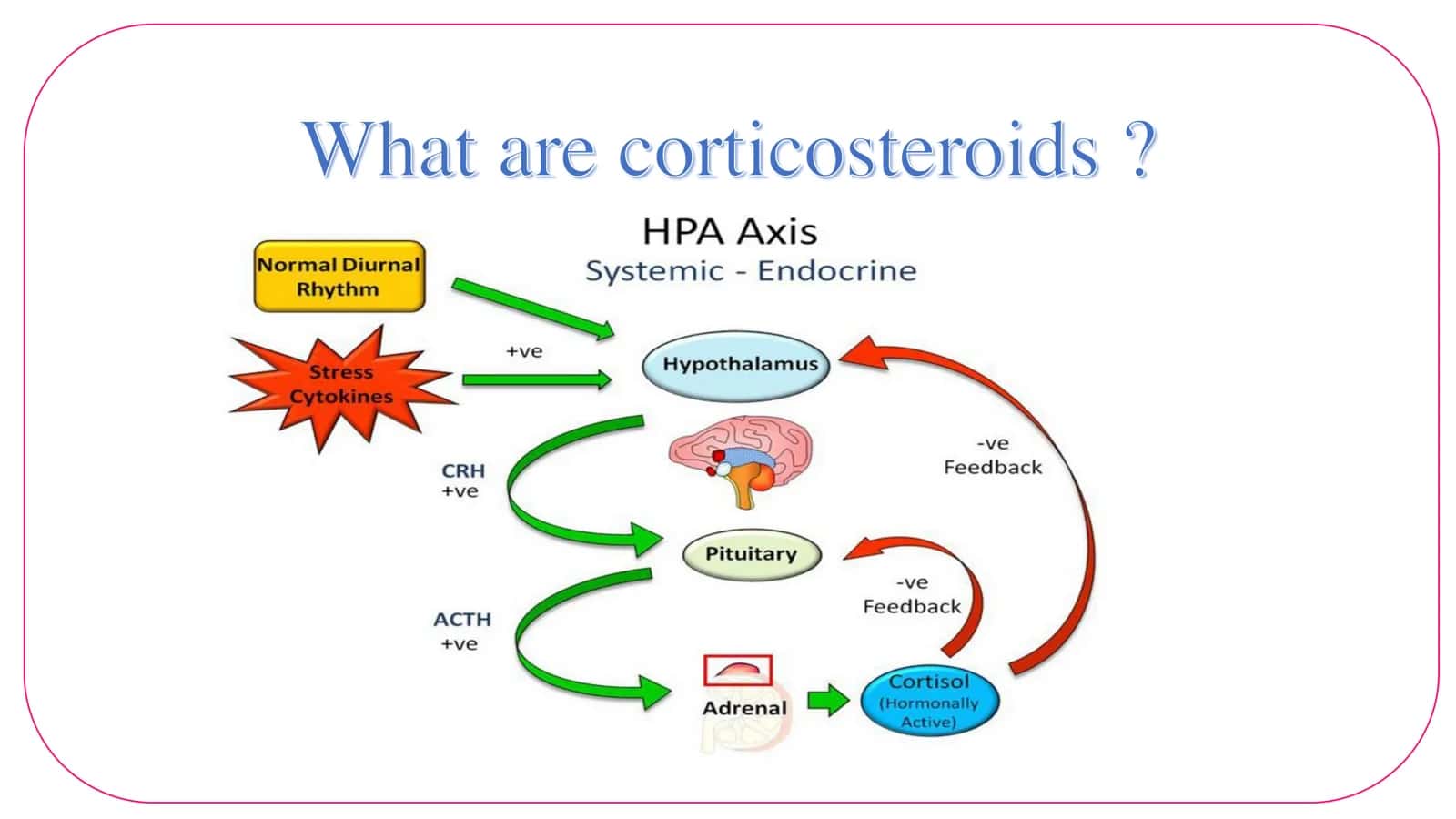 Corticosteroids 3