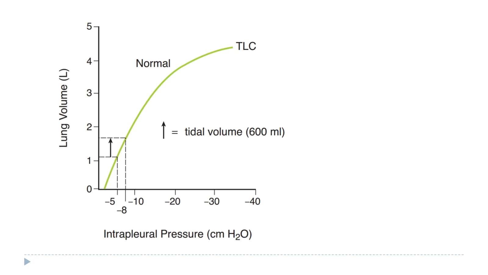 LUNG COMPLIANCE 3