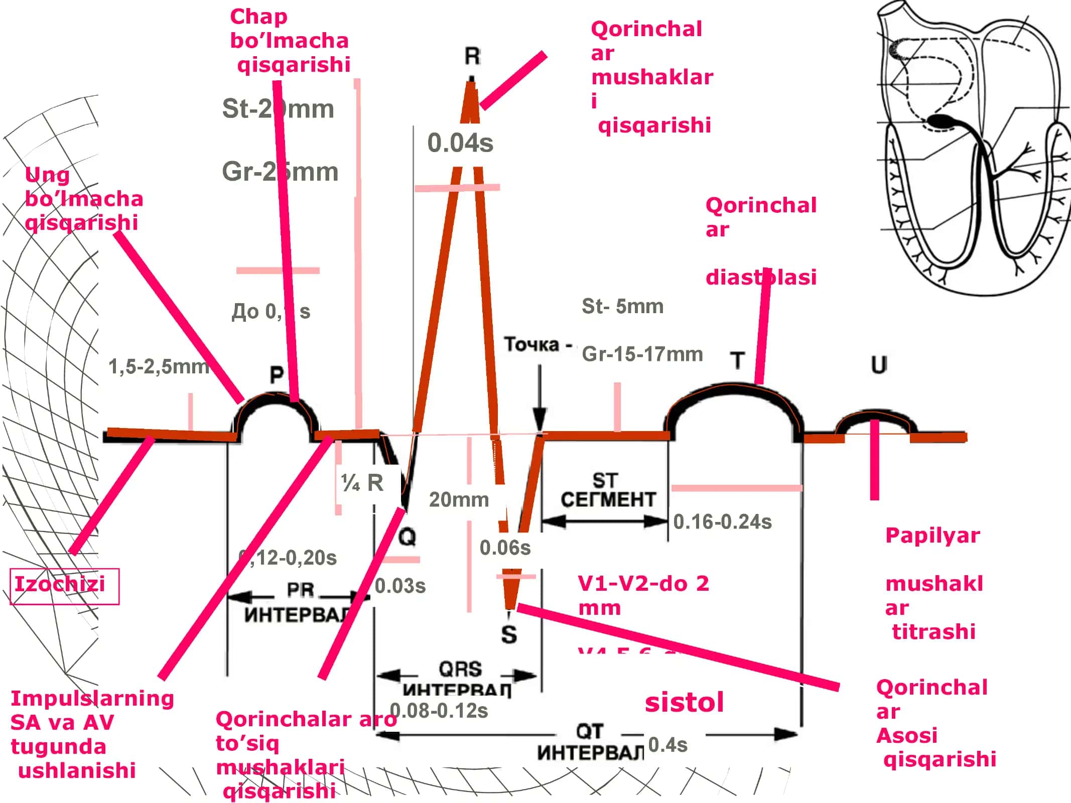 Qorinchal SAAR Spades 3