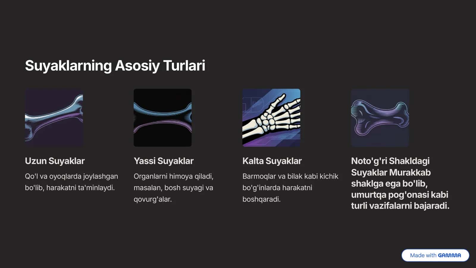 Suyaklar va Skelet Tizimi 3