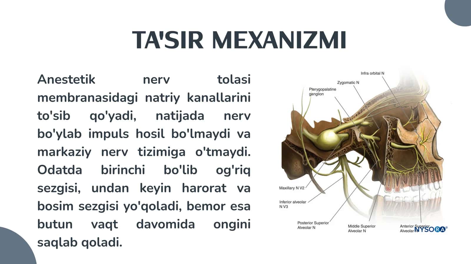 Infiltrasion ogʻriqsizlantirish 3