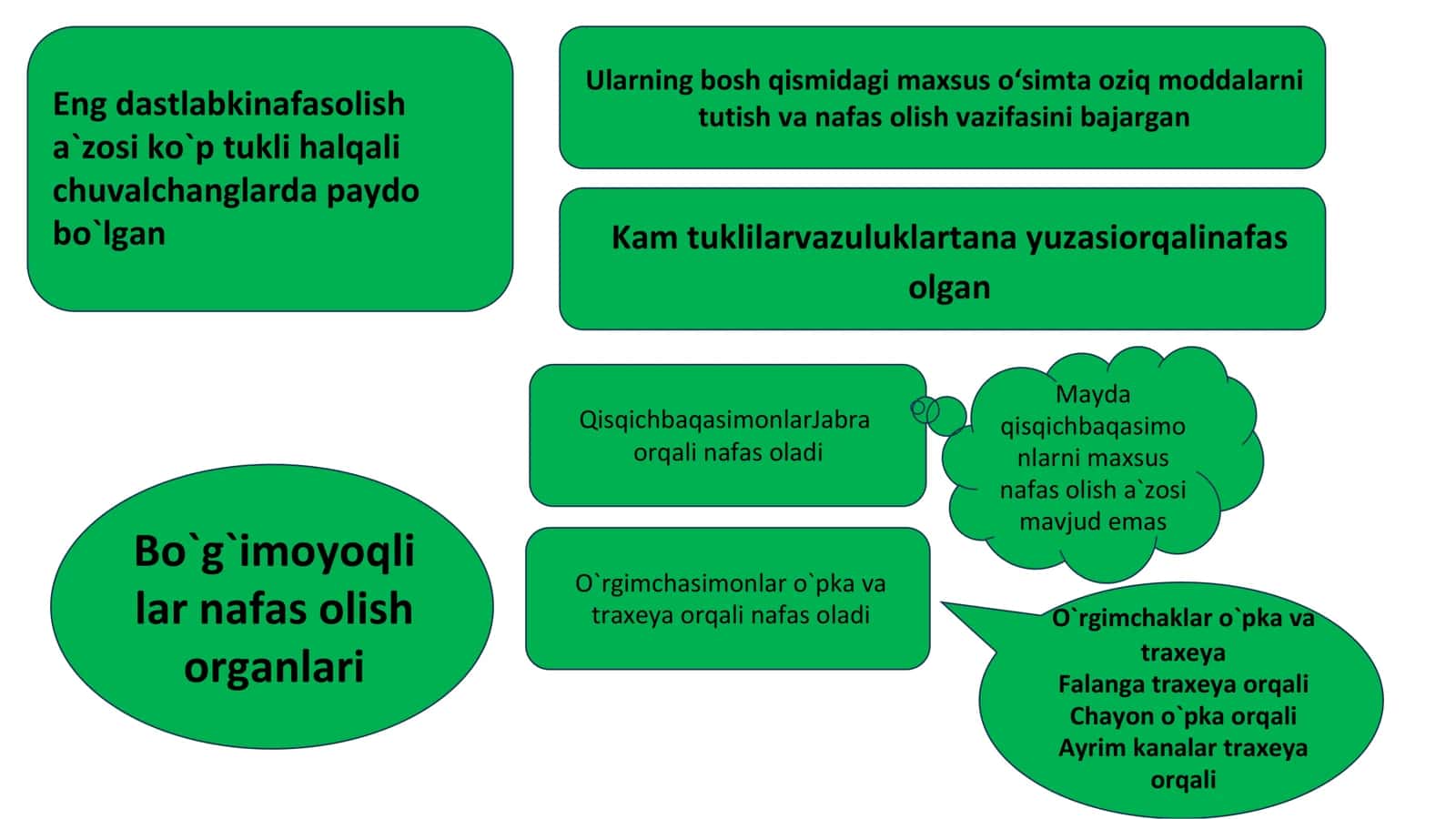 Nafas olish organi 3