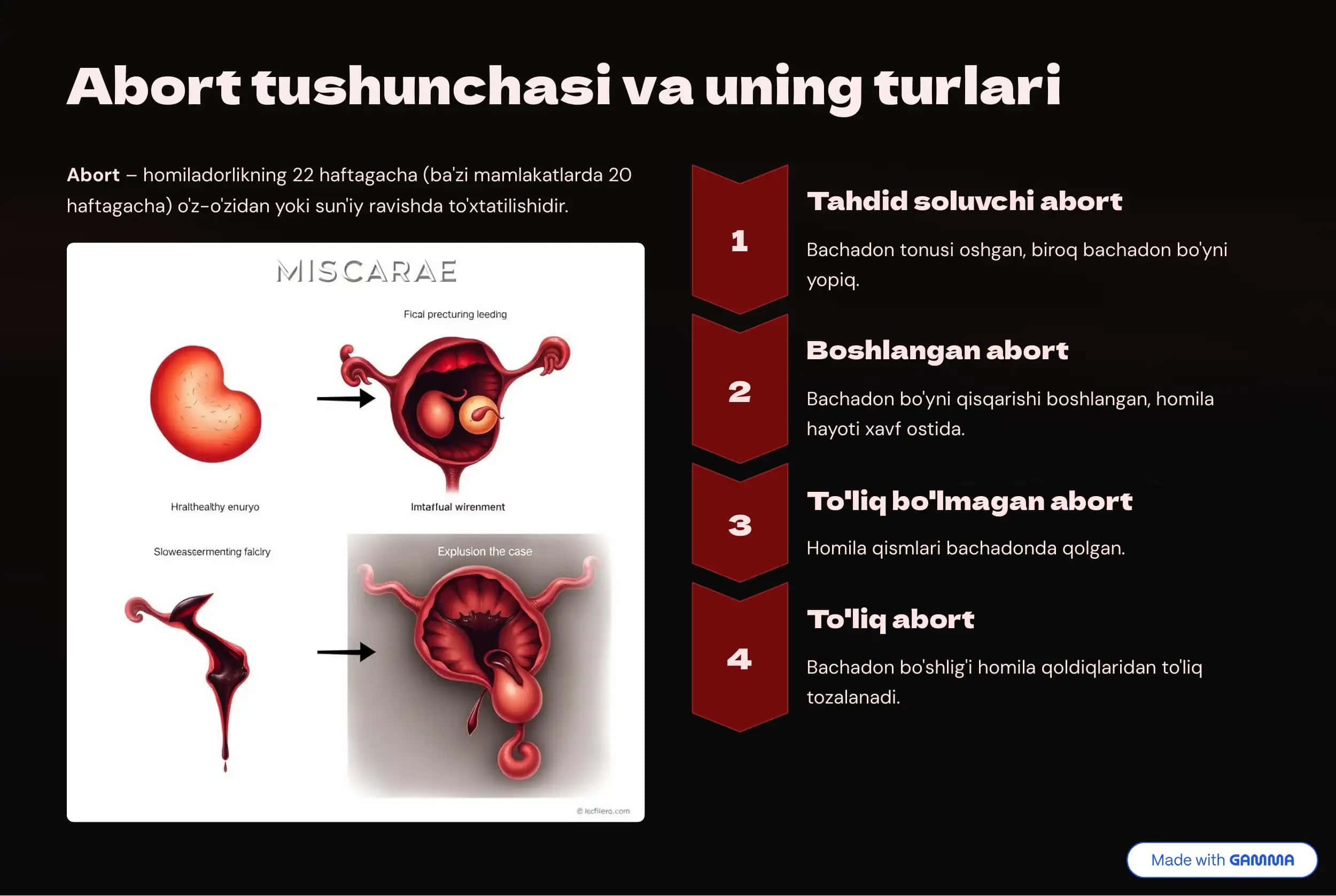 Homiladorlikning birinchi yarmida qon ketishlar: Abortlar 3