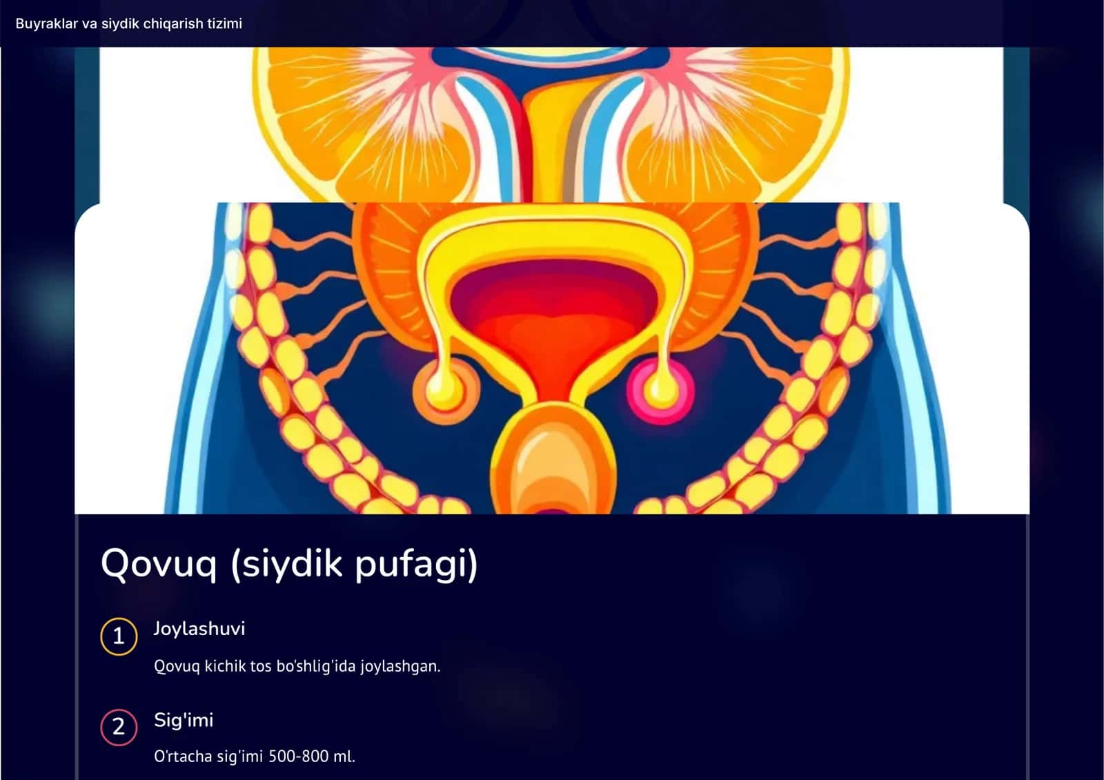 Siydik va buyrak chiqarish tizimi 3