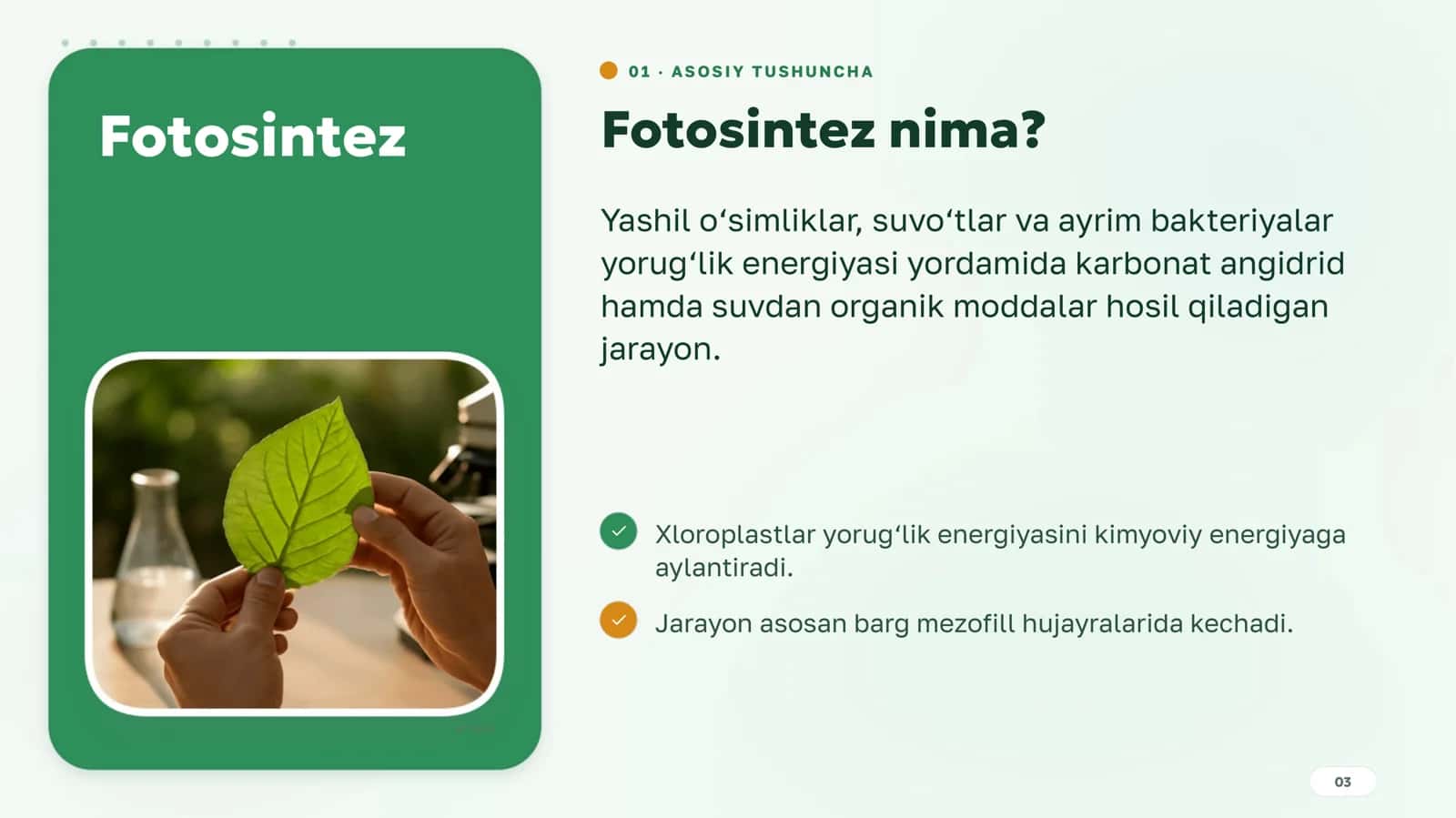Fotosintez 3