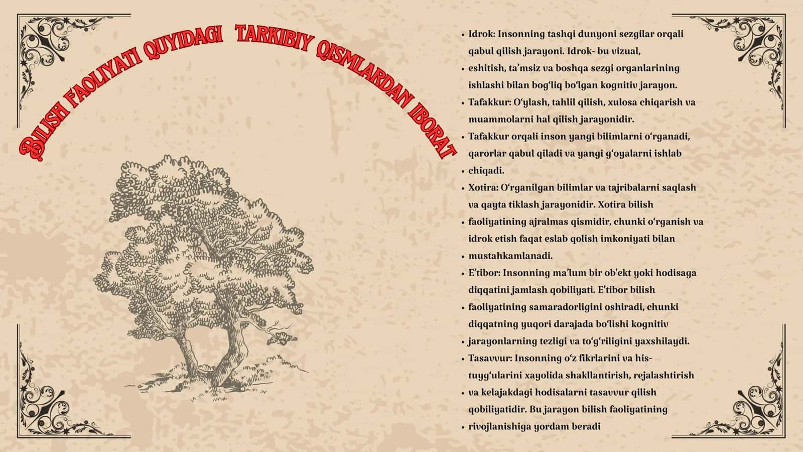 Bilish qobigʻida diagnostik maqsadlar taksonomiyasi 3