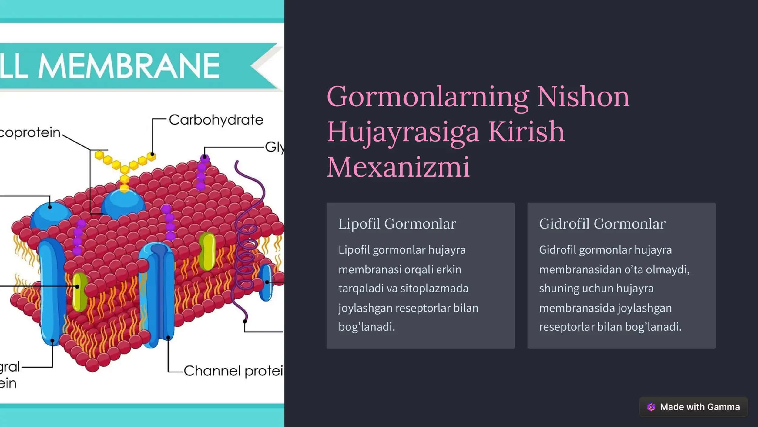 Gormonlarning Nishon 3