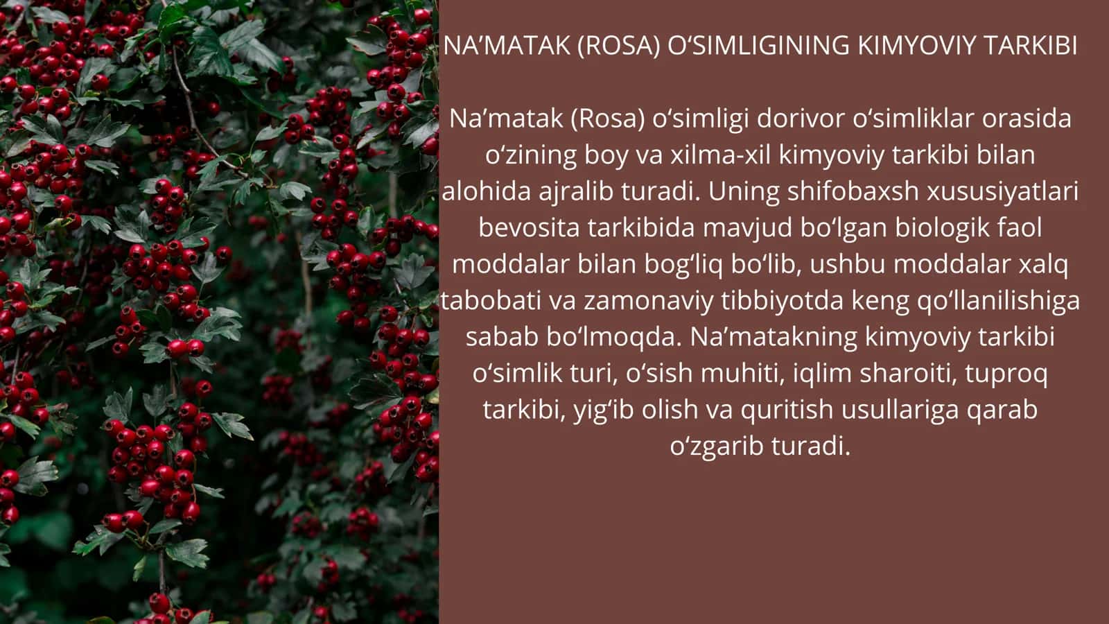 Na'matakning kimyoviy tarkibi 3