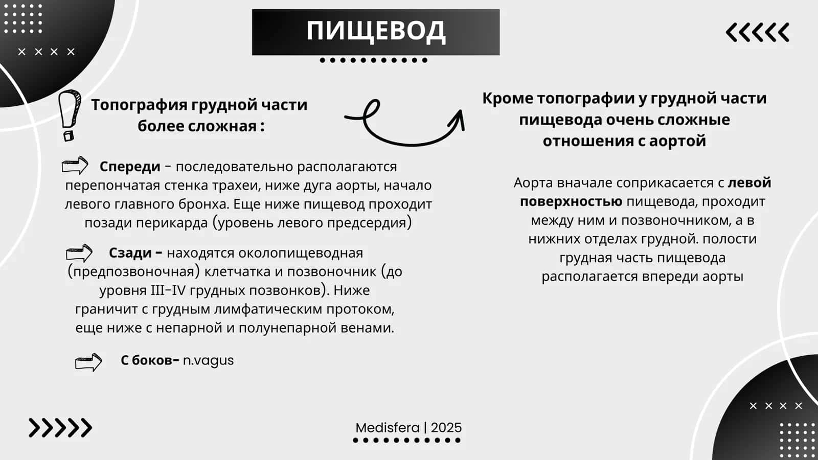 ПИЩЕВОД 3