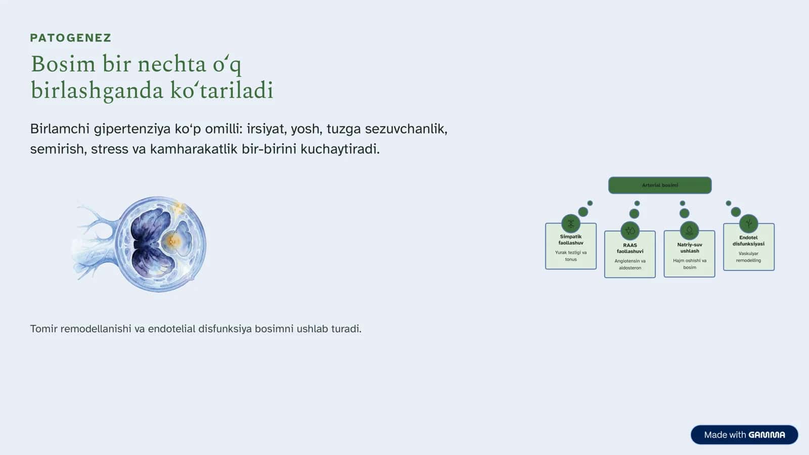 Gipertoniya kasalligi va simptomatik arterial gipertenziyalar 3