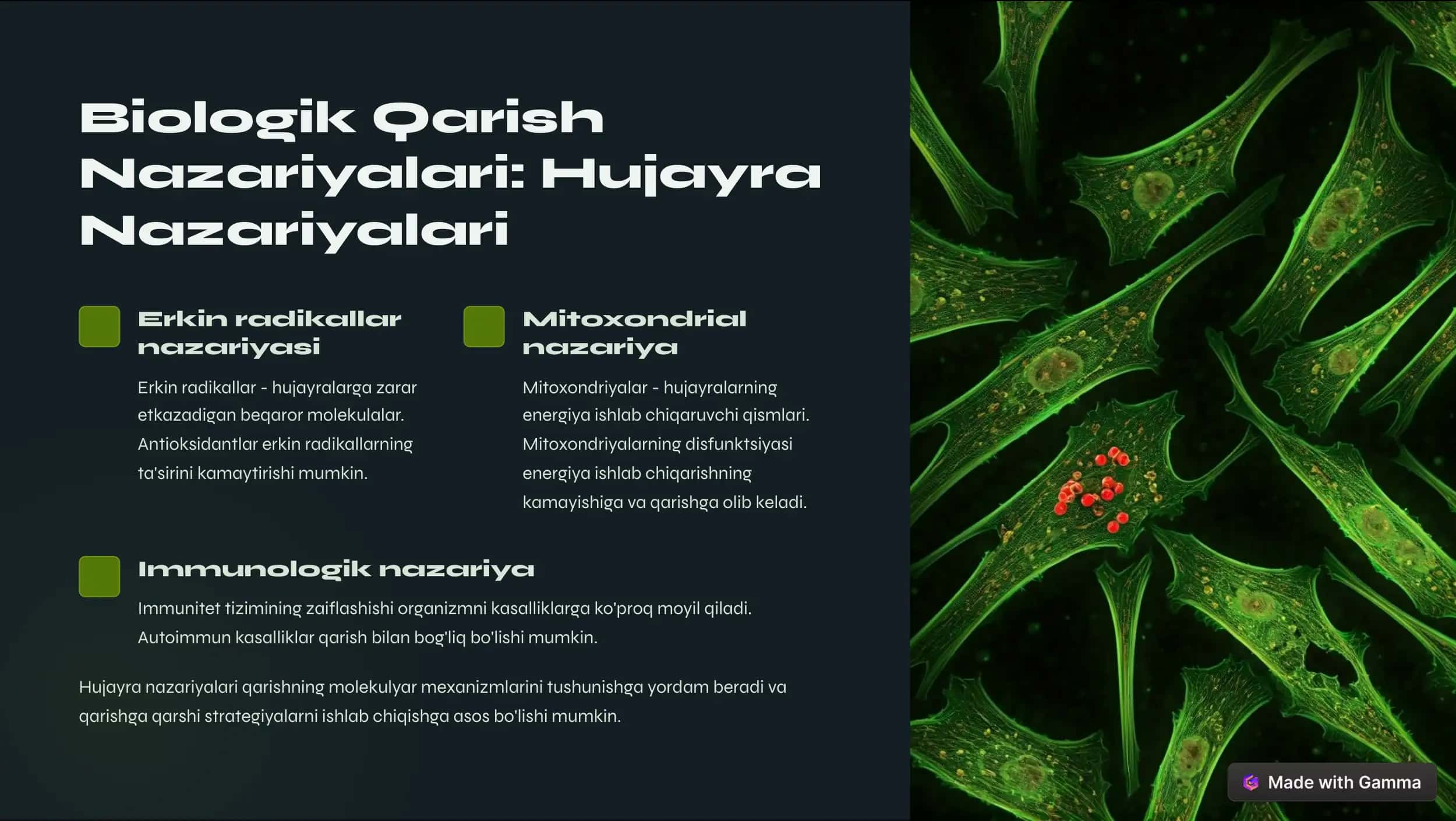 Rivojlanish Psixologiyasida Qarish Nazariyalari 3