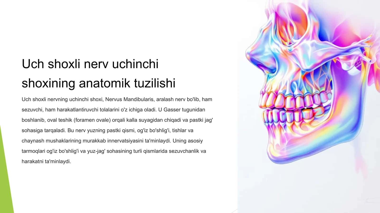Stomatologiyada Uch shoxli nervning uchinchi shoxi 3