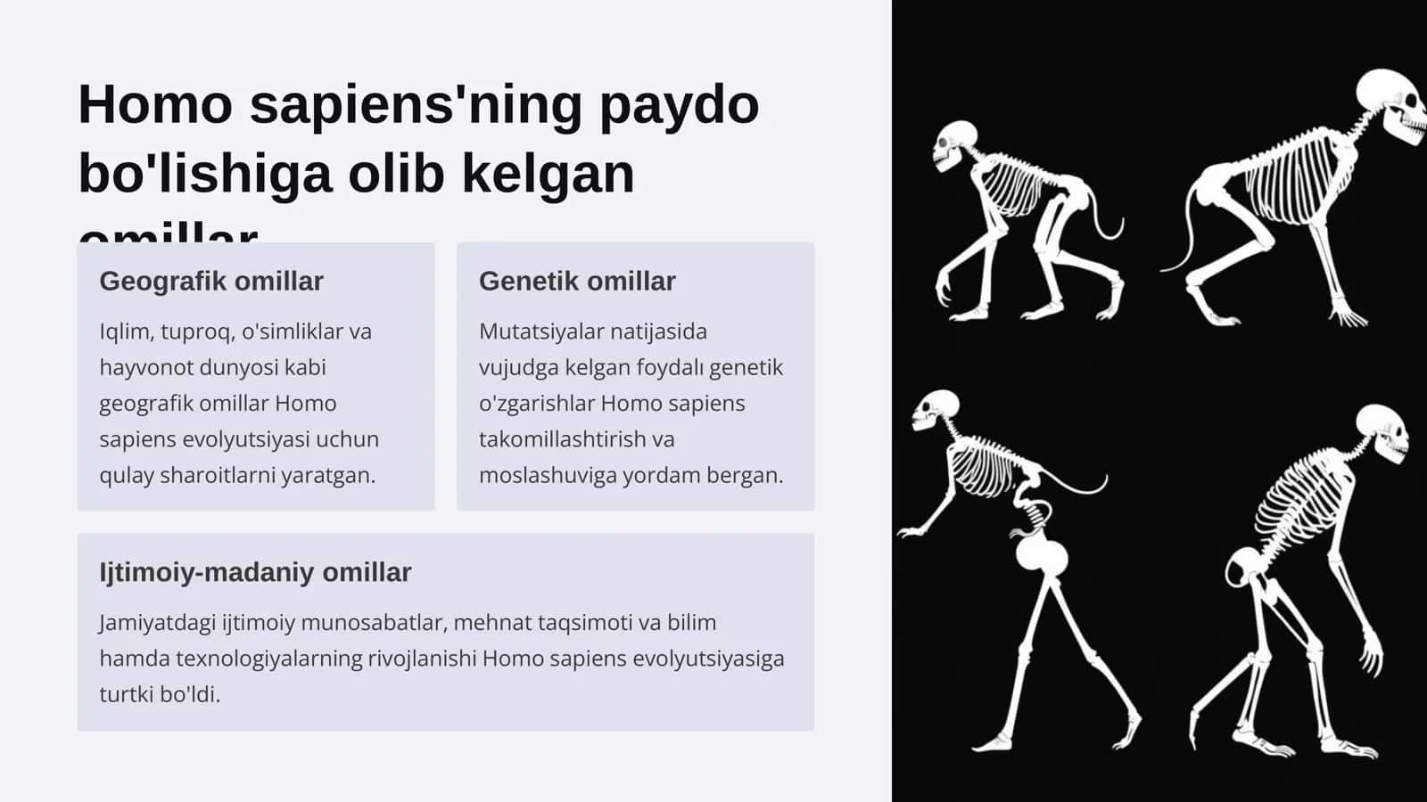 Homo sapiens'ning aydo bo'lishi va tarixiy rivojlanishi 3