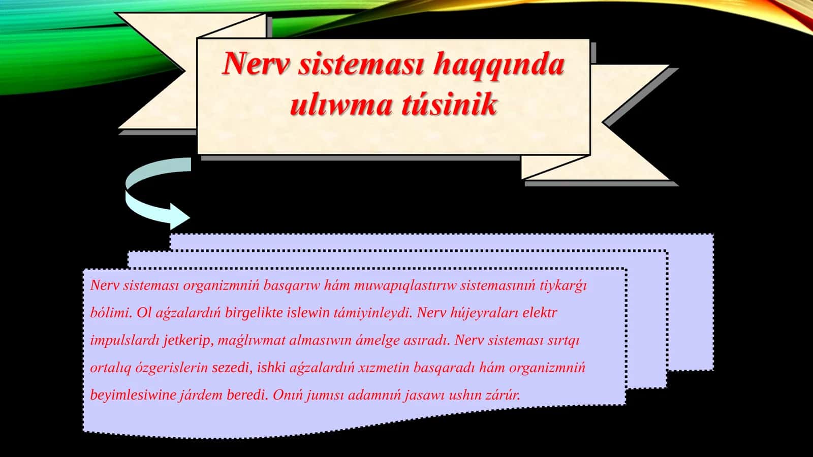 Nerv sisteması 3