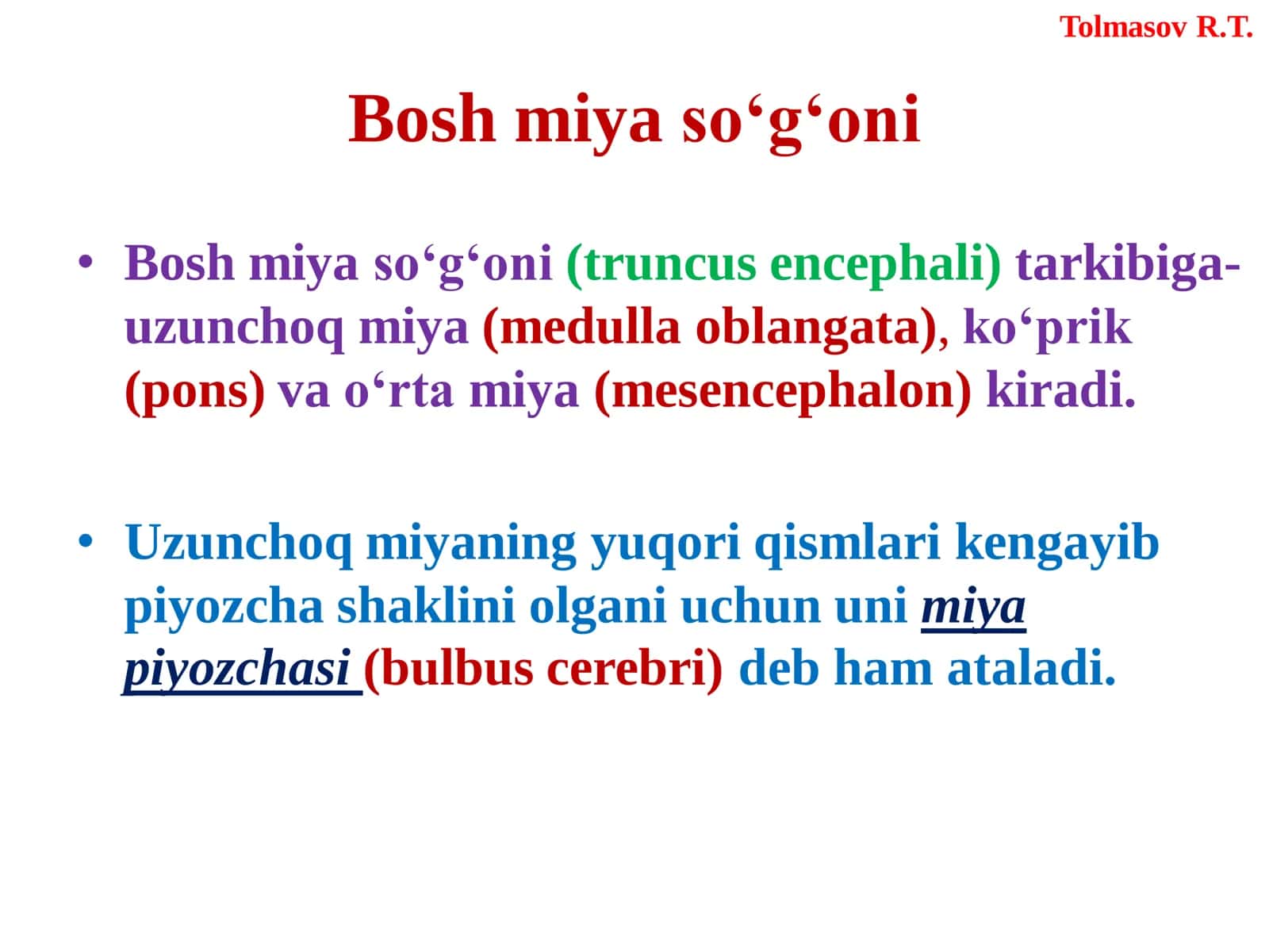 BOSH MIYA (ENCEPHALON) 3