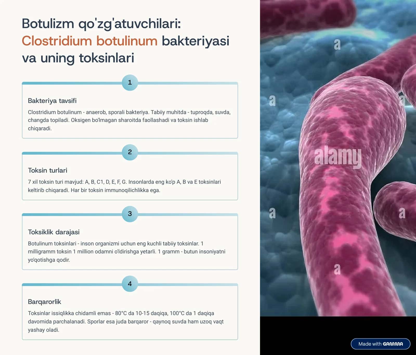 Botulizm: Kasallik, Qo'zg'atuvchilari va Asoratlari 3