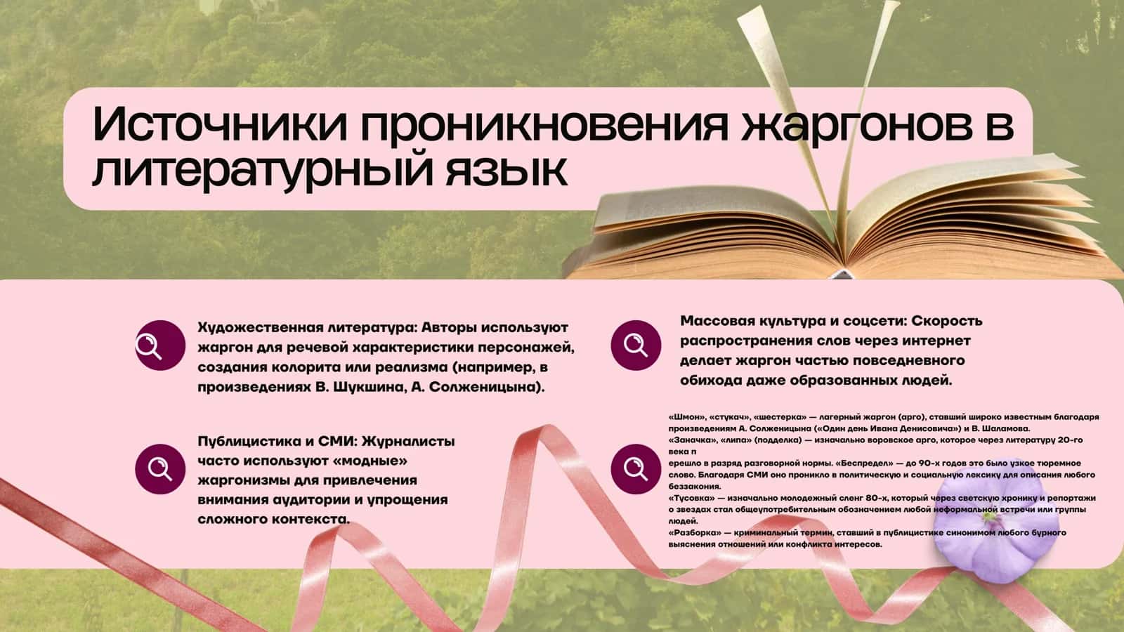 Роль жаргонов в литературном языке 3