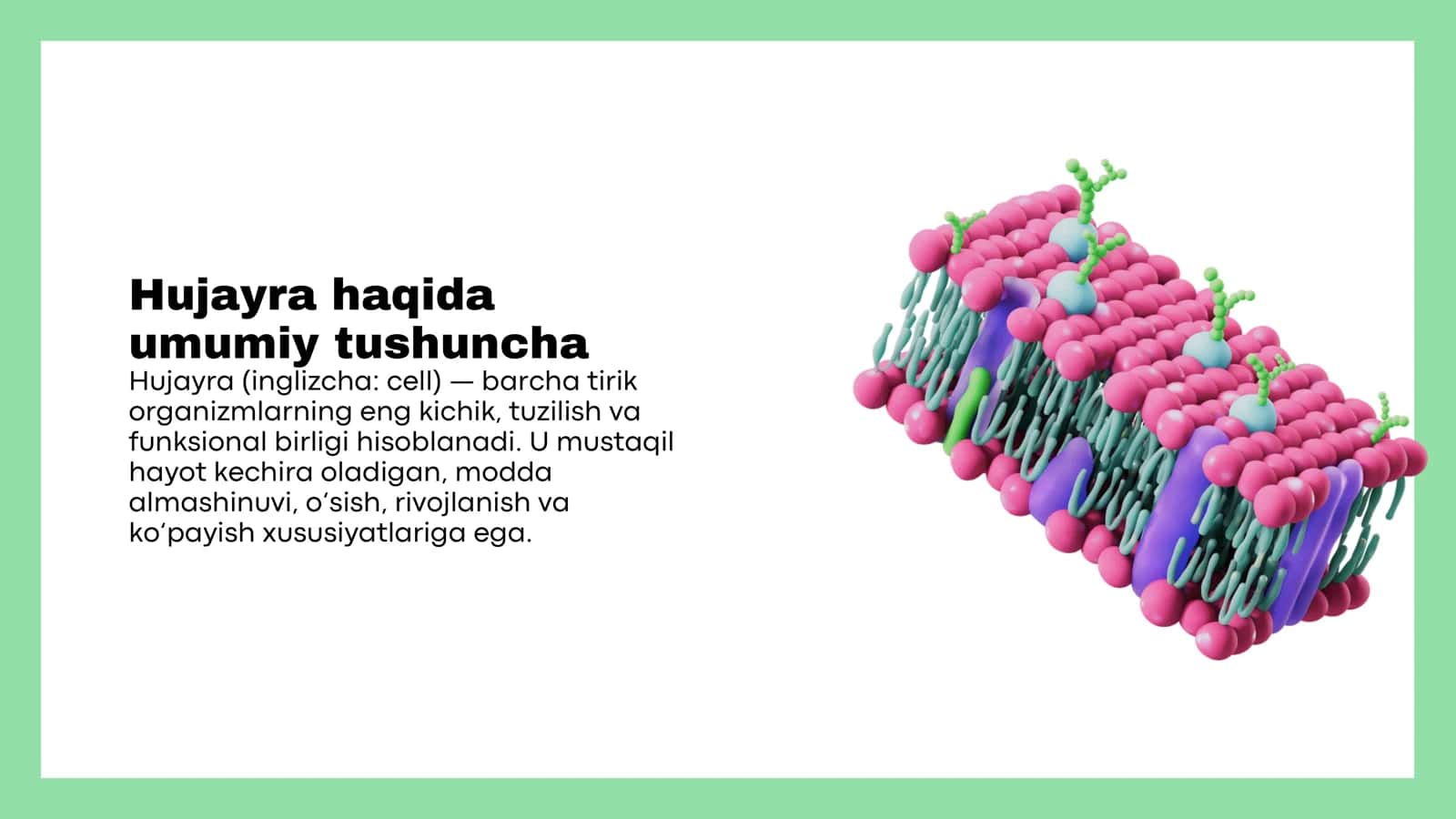Hujayra va uning nazariyasi 3