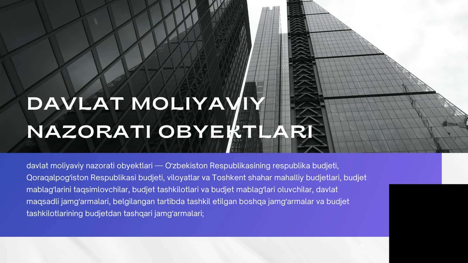 Davlat moliyaviy nazorati 3