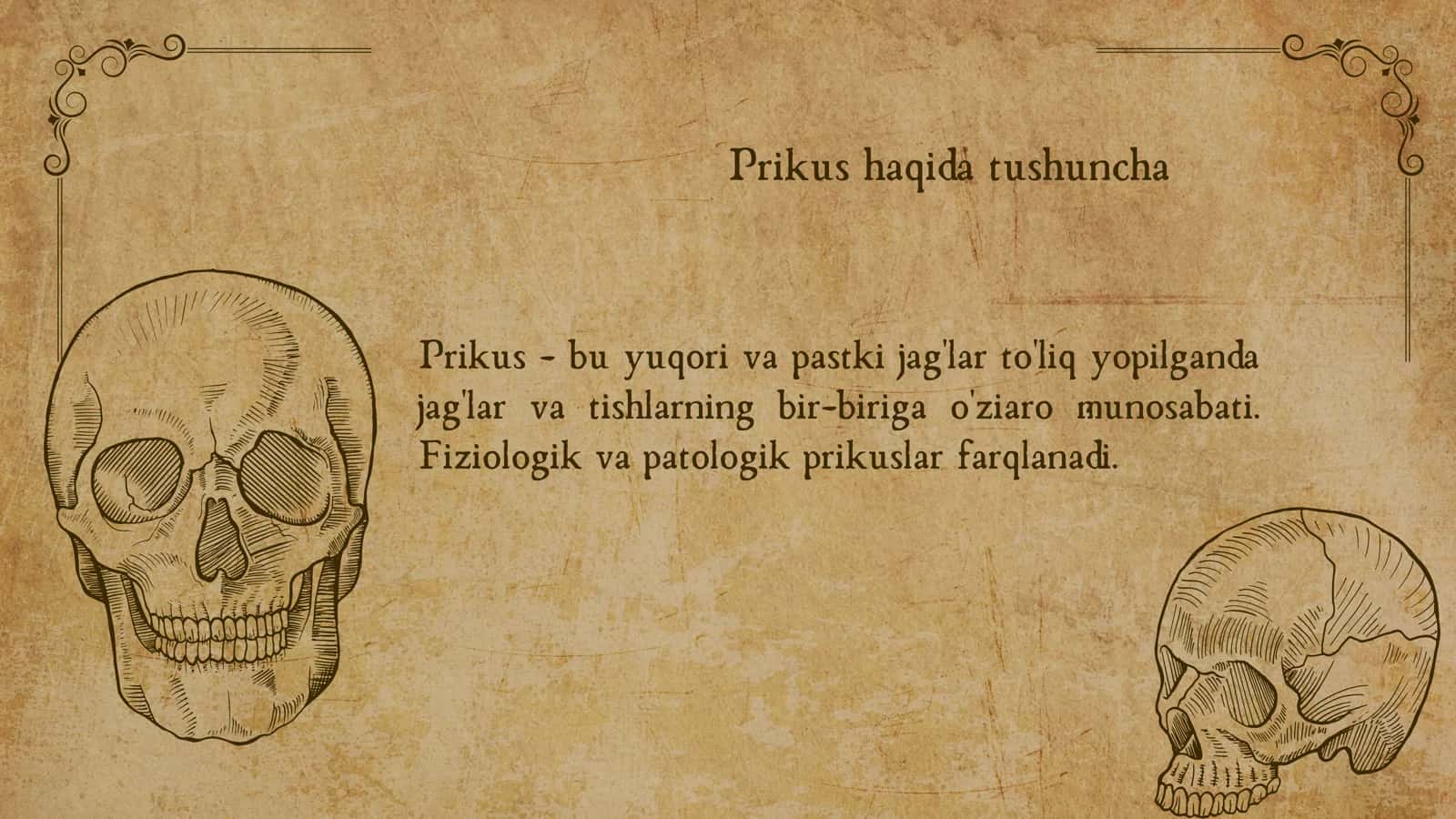 Prikus turlari 3