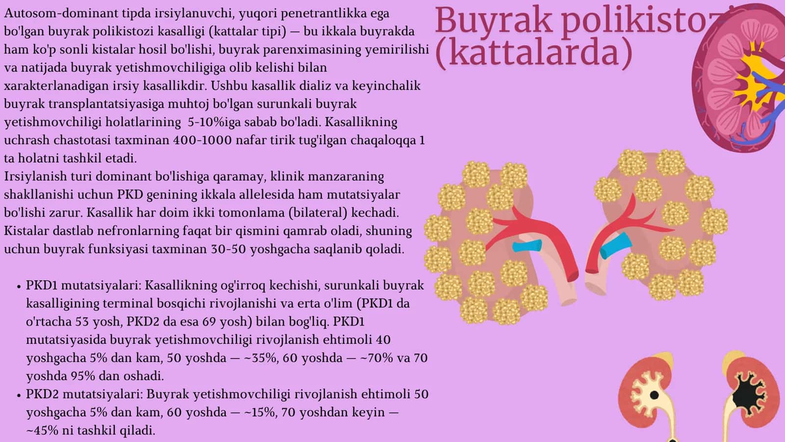 Buyrak polikistozi 3