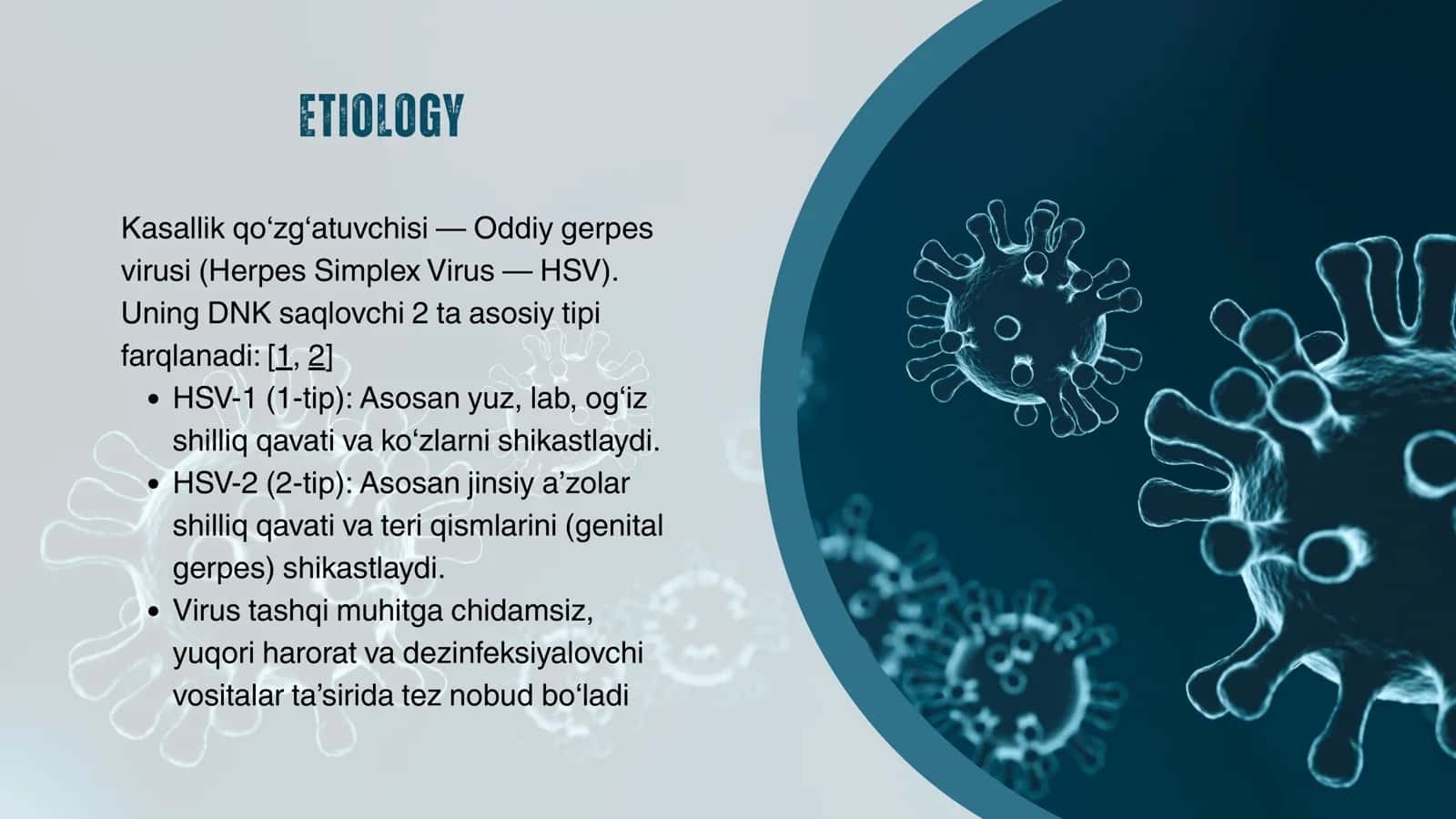 HERPES SIMPLEX 3