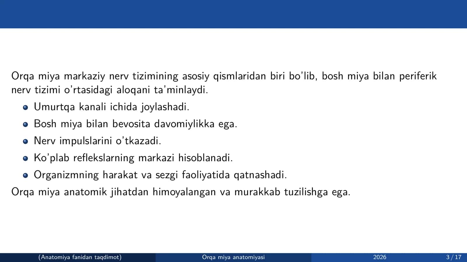 Orqa miya anatomiyasi 3