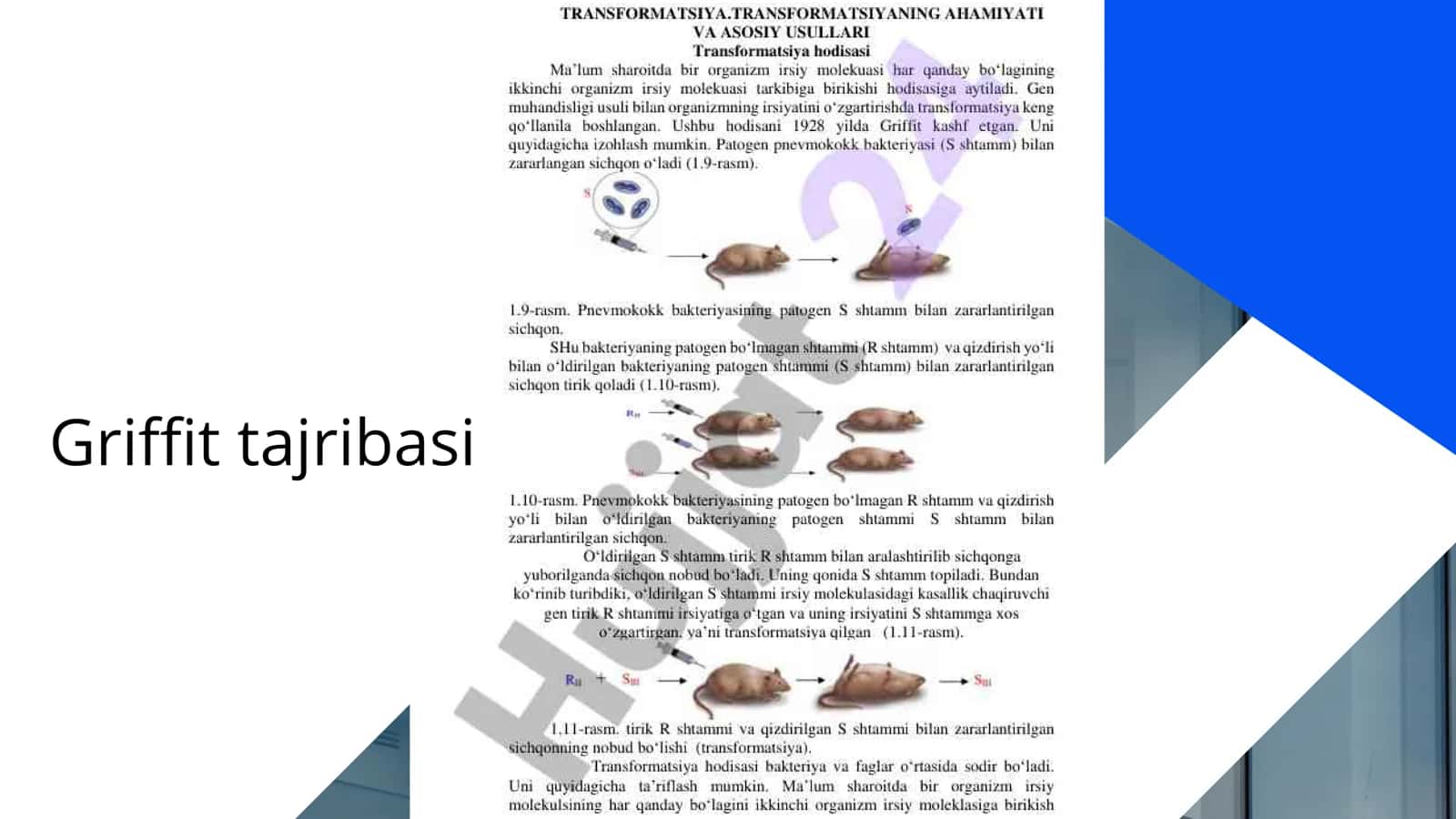 Irsiyatning molekulyar asoslari 3