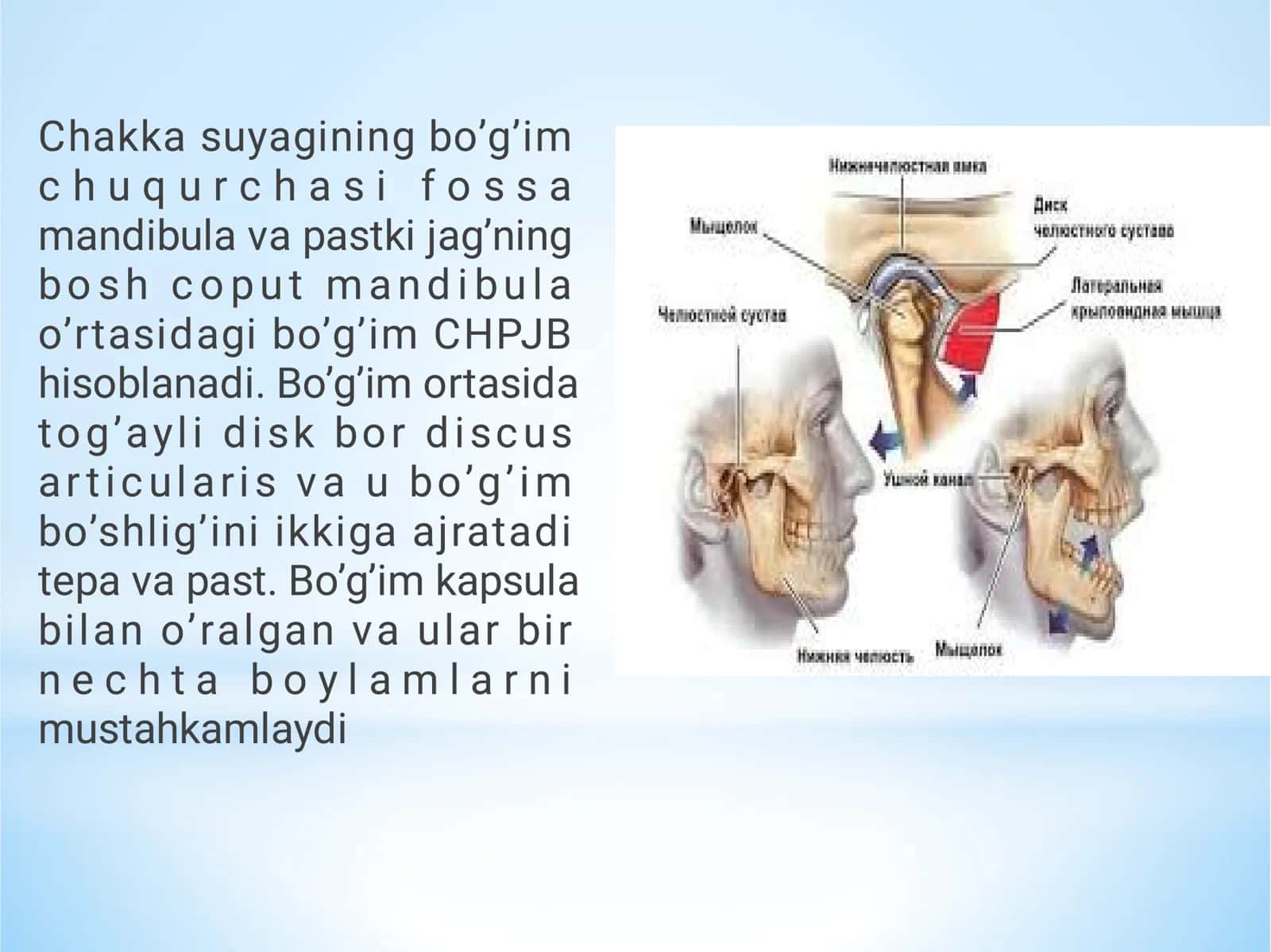 ChPJB bo'g'imi haqida 3
