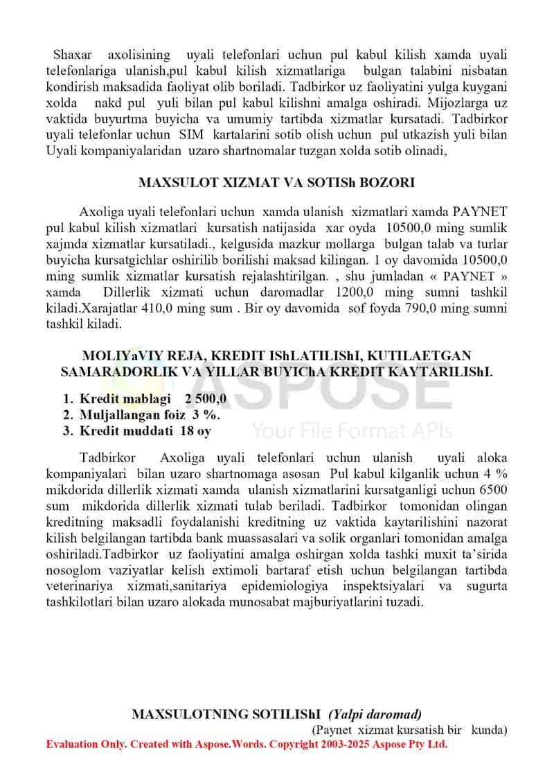 Axoliga PAYNET xizmatlari kursatish biznes rejasi 3