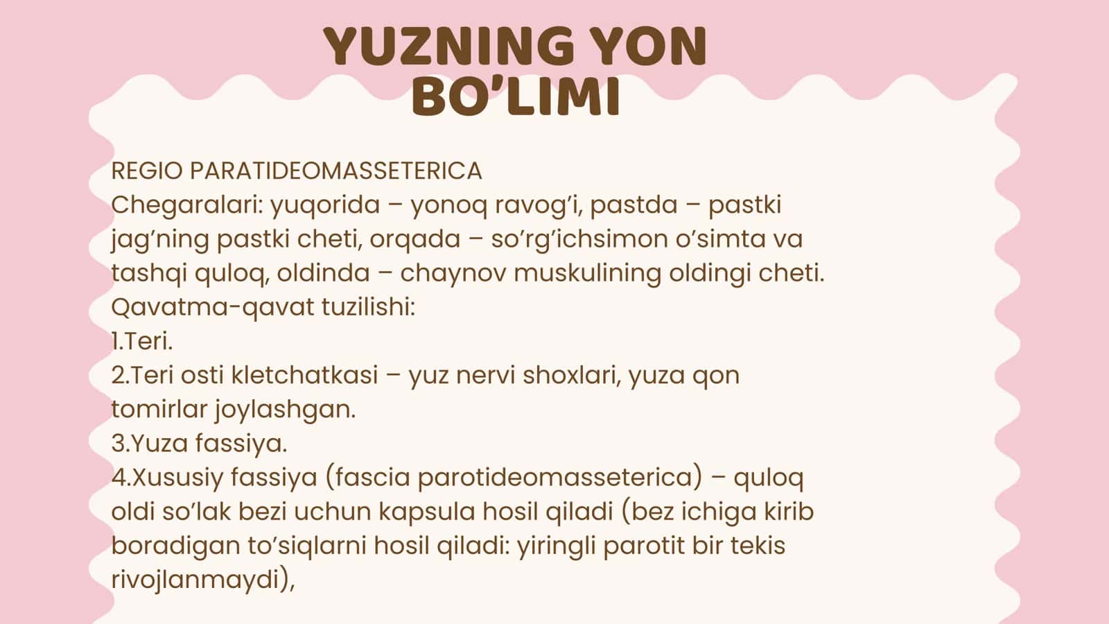 BOSHNING YUZ QISMI KLINIK ANATOMIYASI 3
