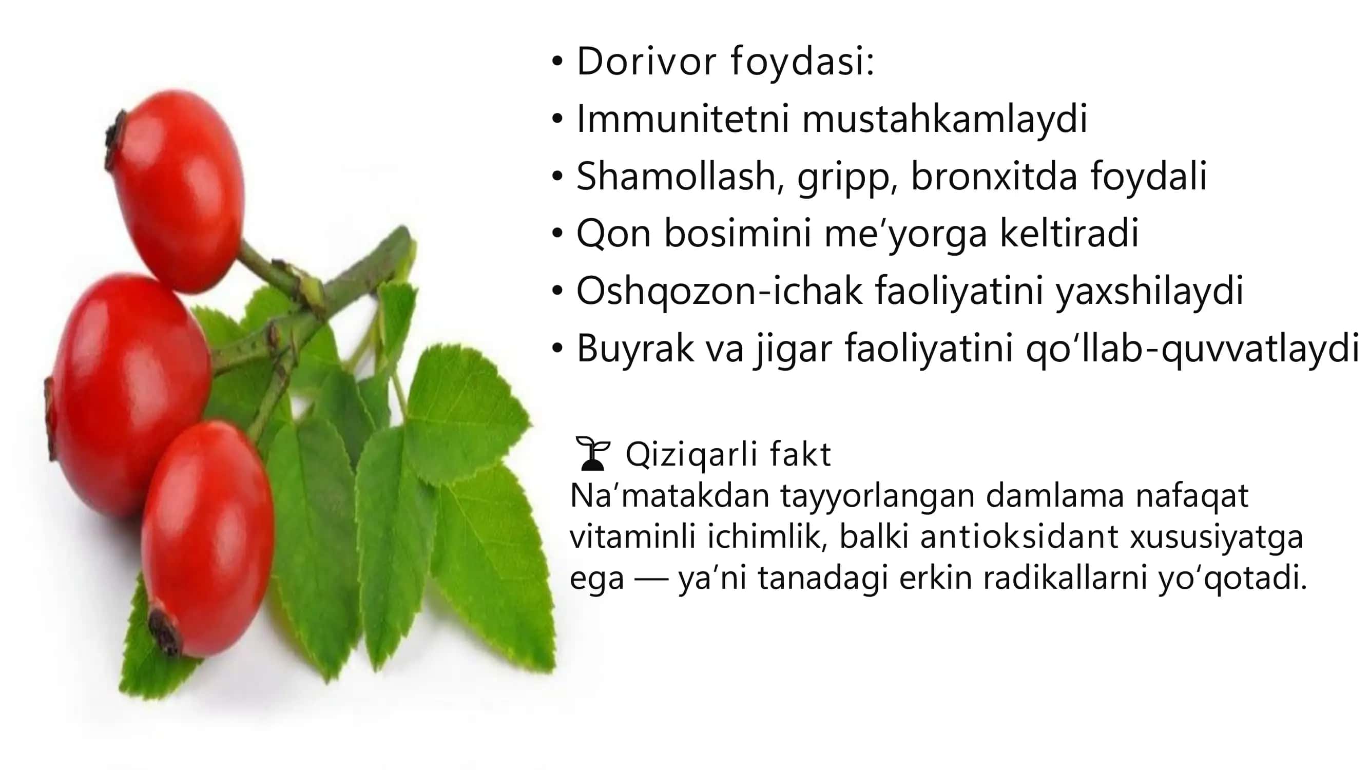 dorivor o'simliklar 3