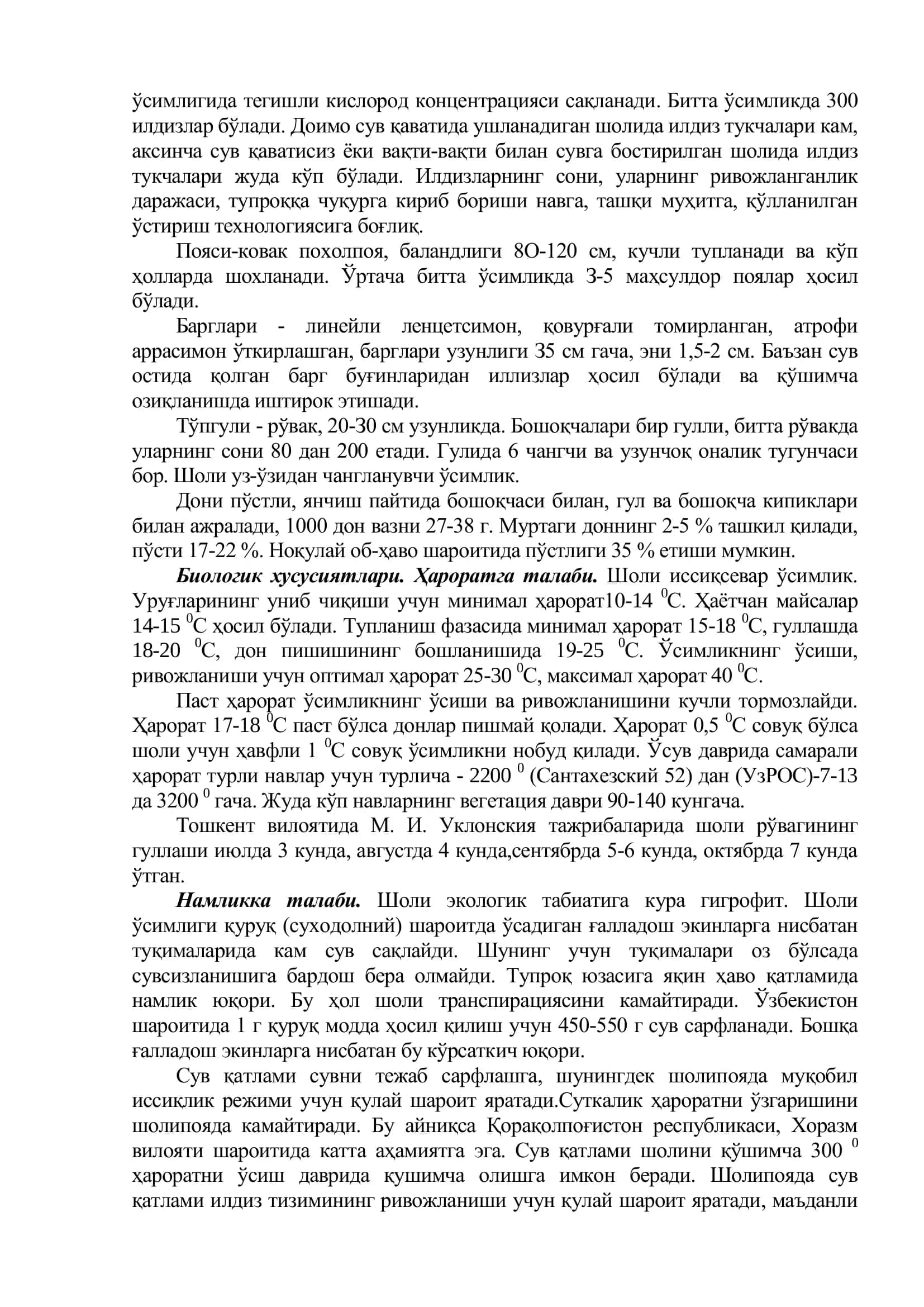 Шоли 3