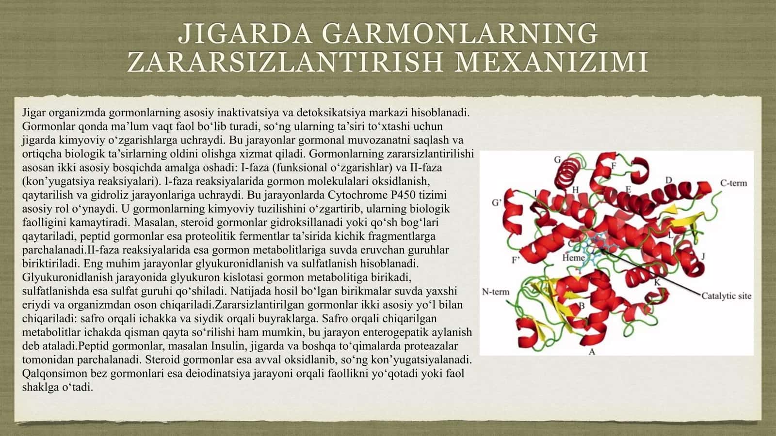 Jigarda gormonlarning zararsizlantirish, klinik ahamiyati 3