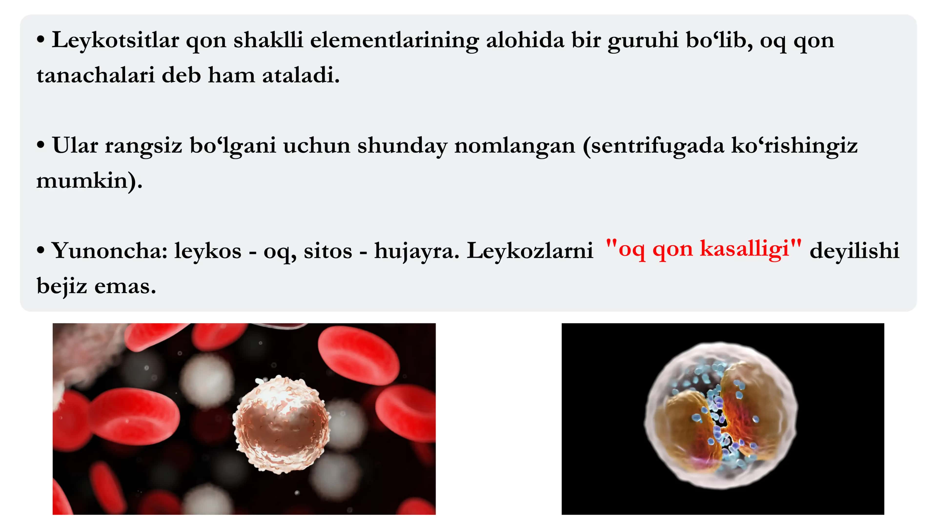 Leykotsitlar 3