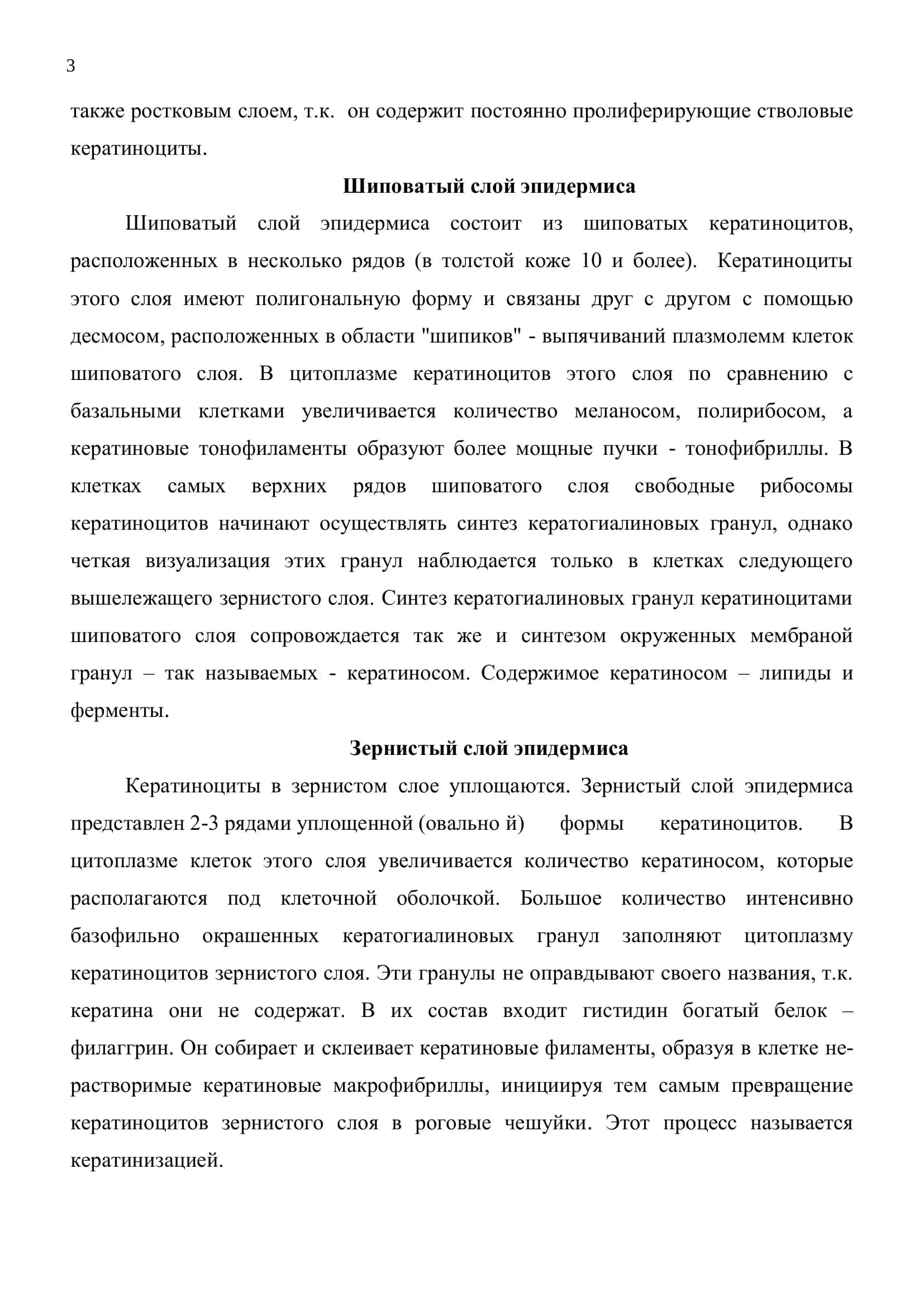 кожа и её производные 3