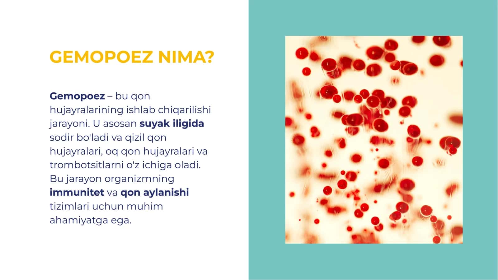 GEMOPOEZ VA GEMOSTAZ FIZIOLOGIYASI 3
