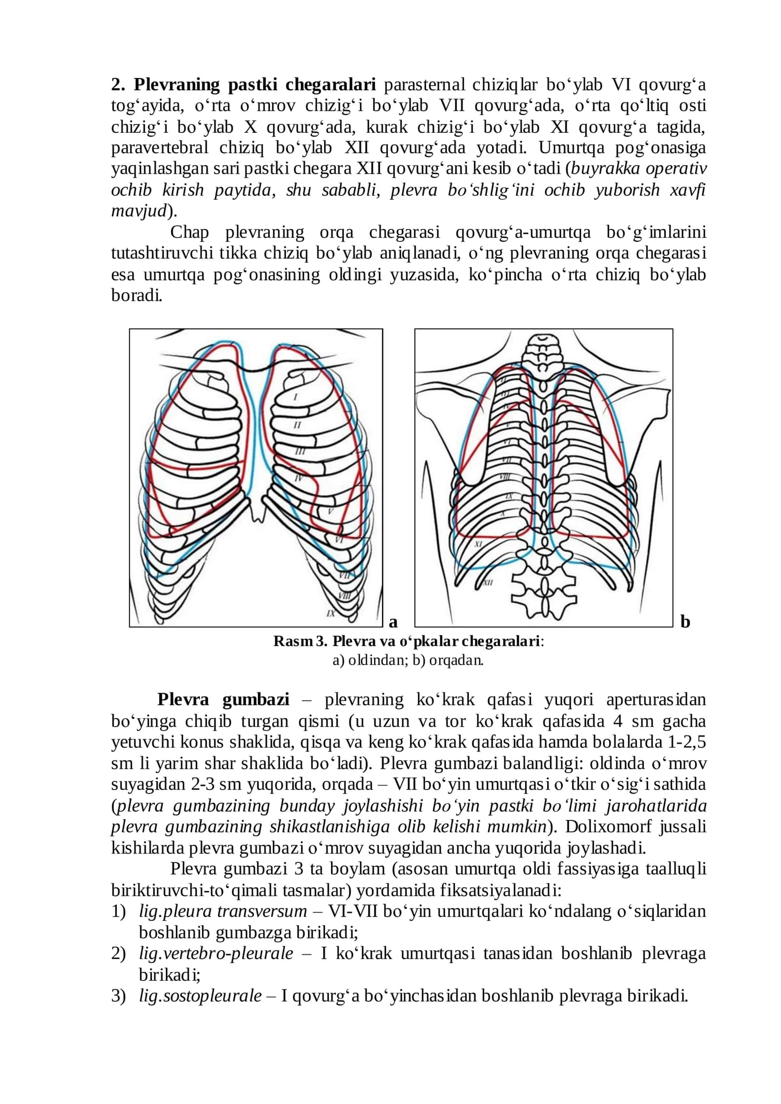 Koʻkrak boʻshligʻi klinik anatomiyasi 3