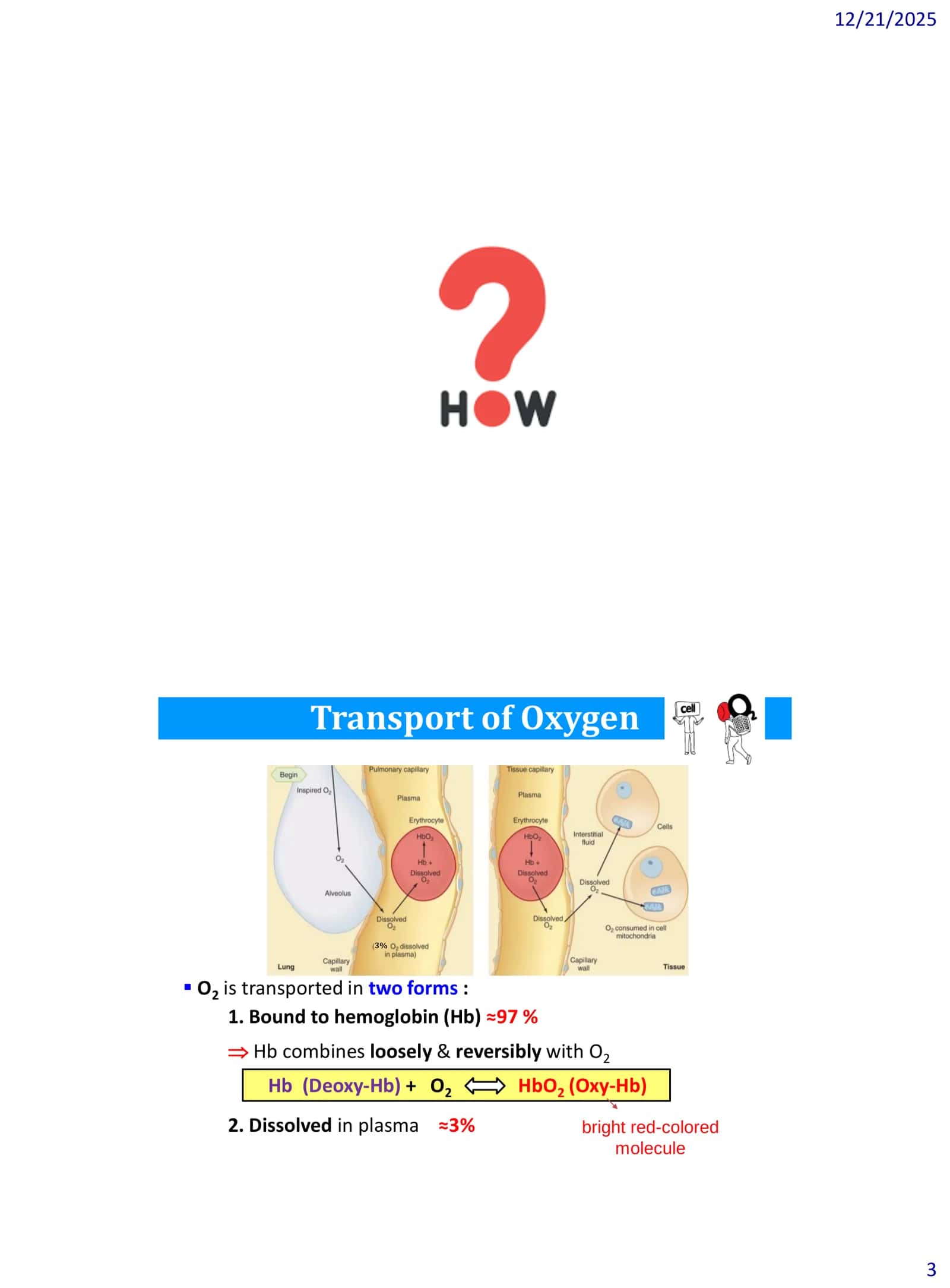 Respiratory Gases 3